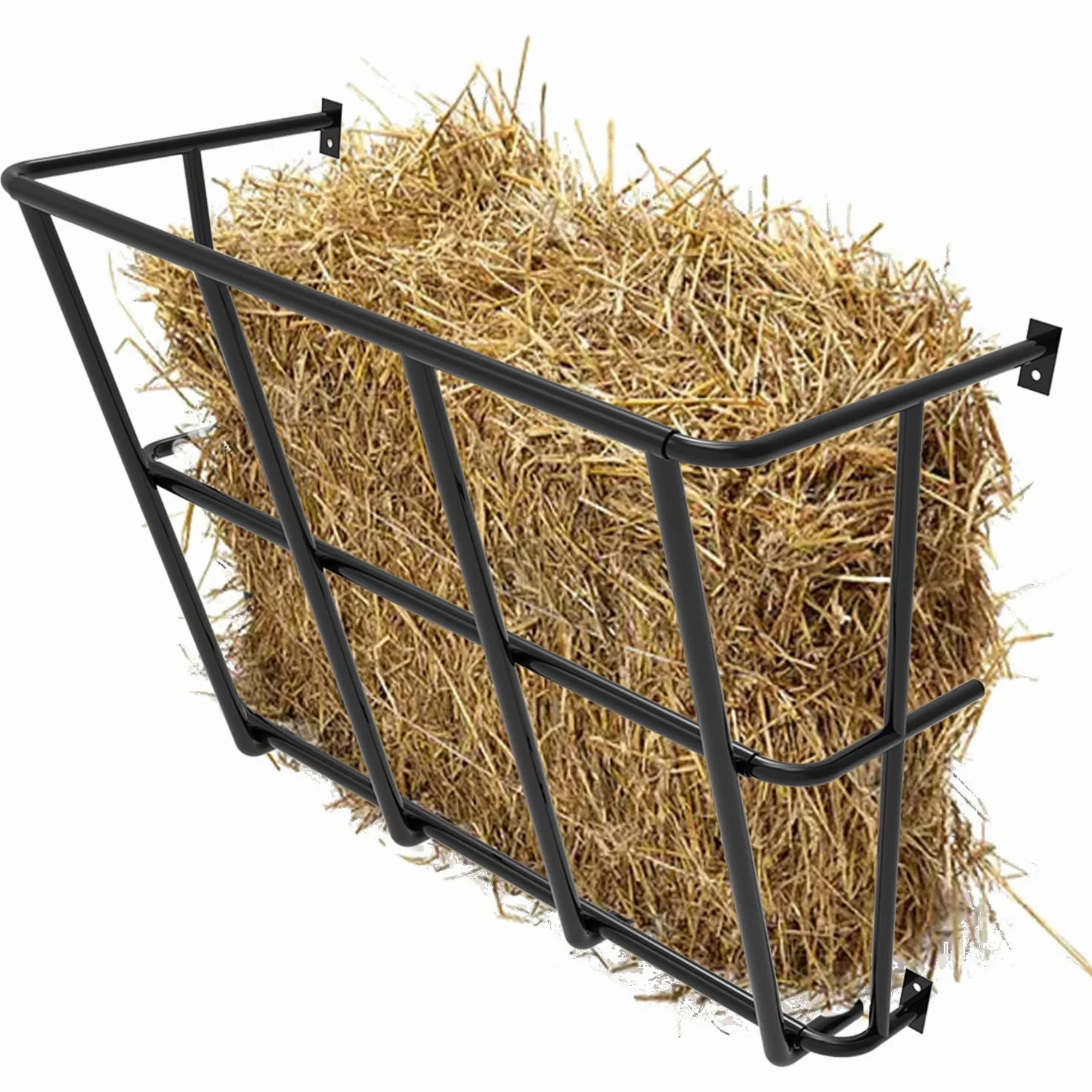 Horse Feeding Supply