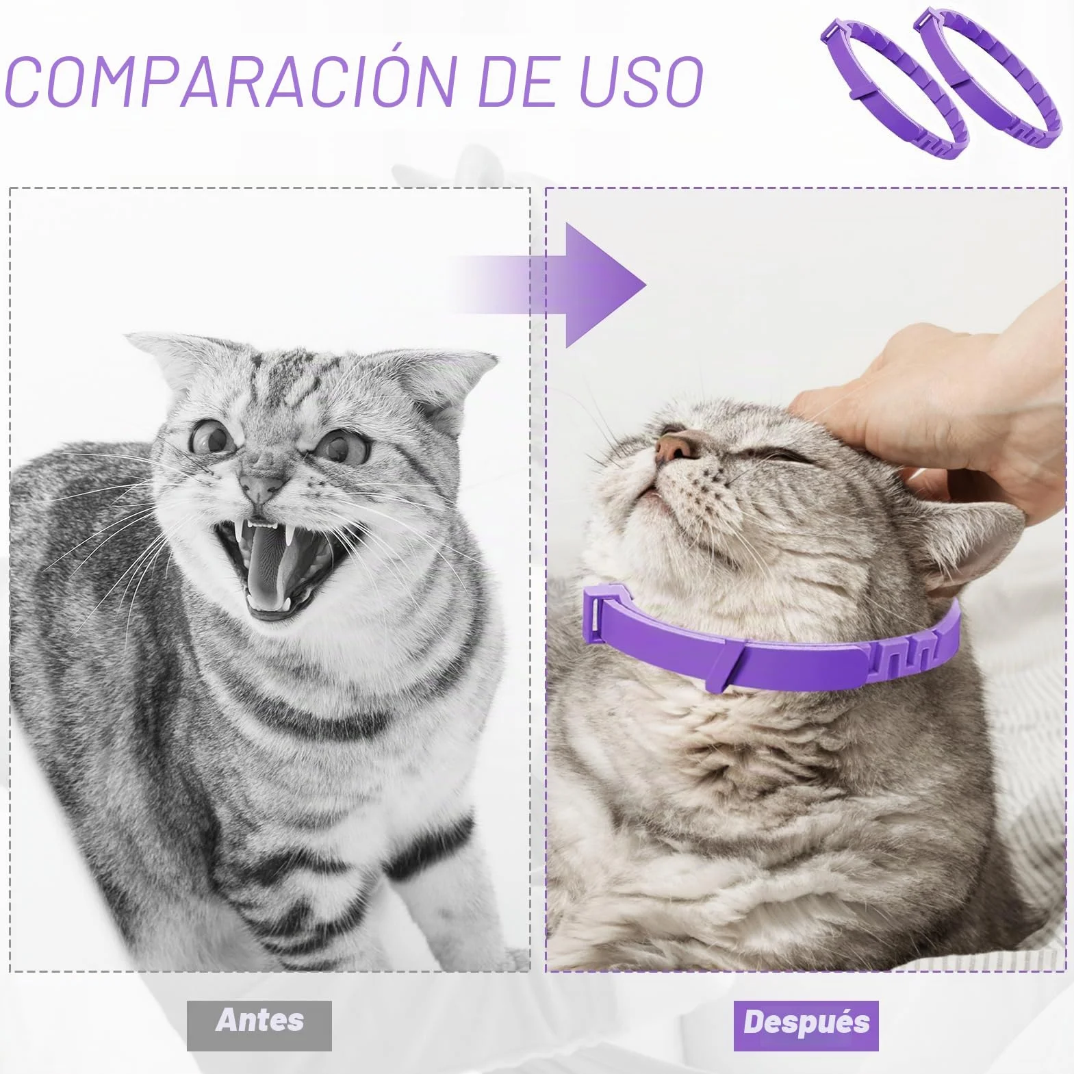 Collar calmante para gatos, 4 piezas, antiestrés con feromonas naturales – Lavanda y manzanilla, ajustable (hasta 38 cm), 30 días de efecto, para gatitos y gatos adultos