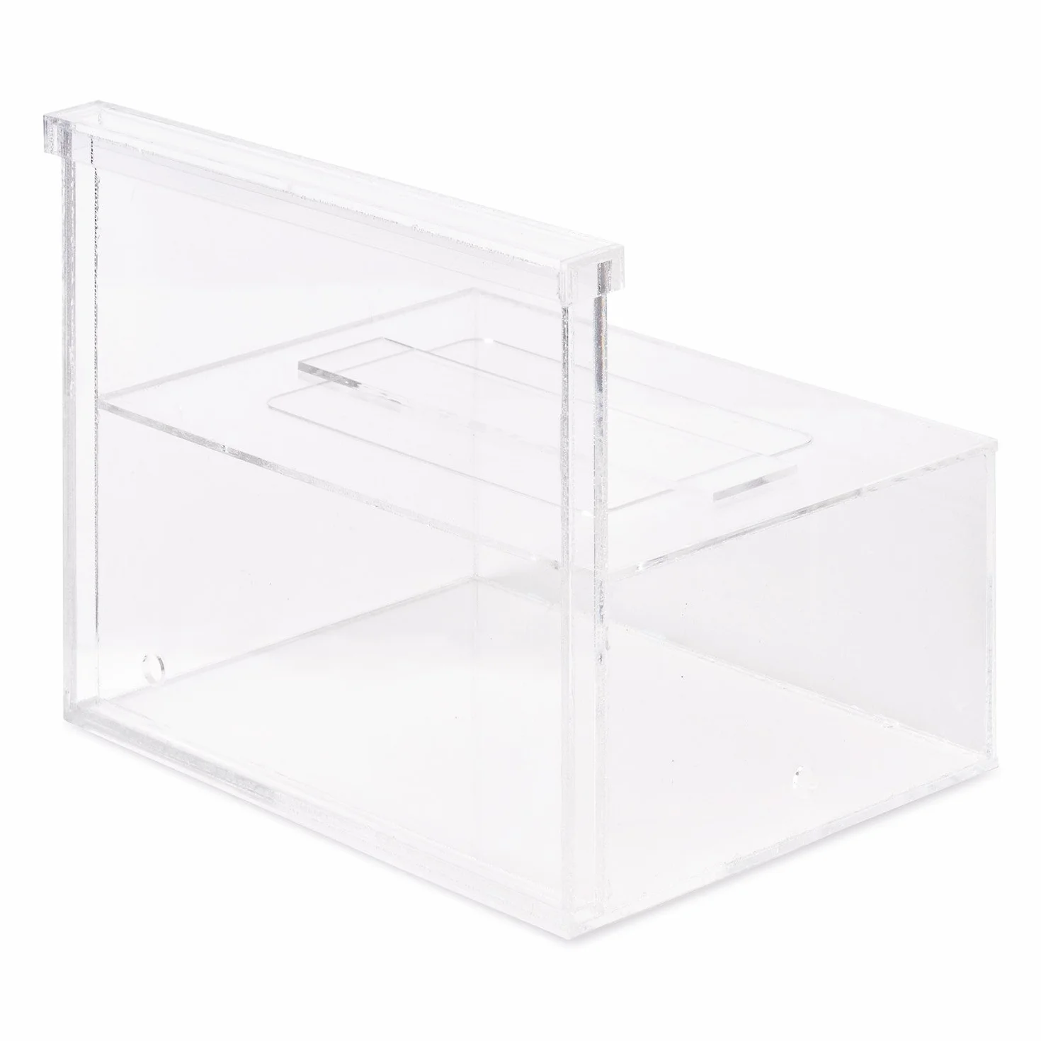 Anthouse.es - Hormiguero Natural de Arena - Kit Hormiguero Acrílico L (Sándwich + Caja de Forrajeo) - Granja de Hormigas con Colonia de Hormigas Incluida - 25x20x1 cm y 10x24 x10 cm - Transparente