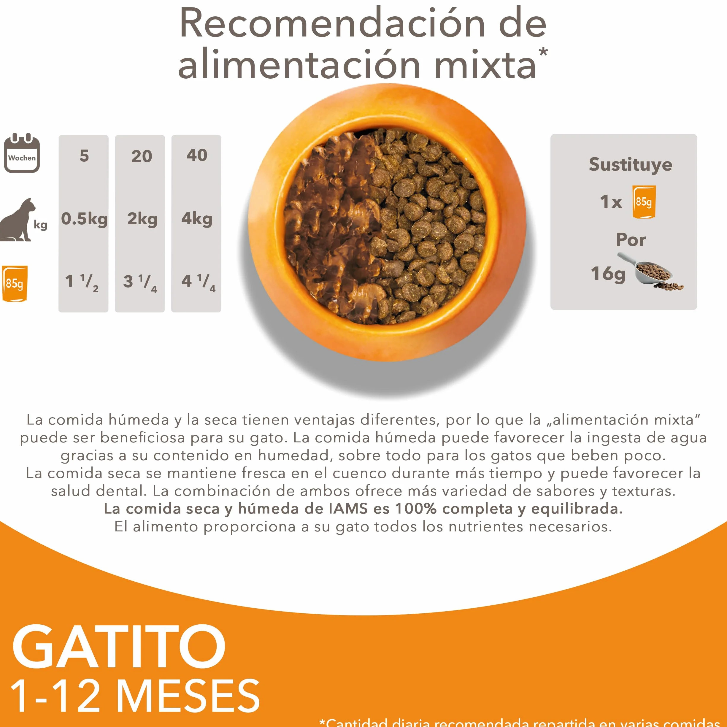 IAMS Advanced Nutrition Alimento húmedo en Salsa, para Gatitos con Pollo, 12 x 85g