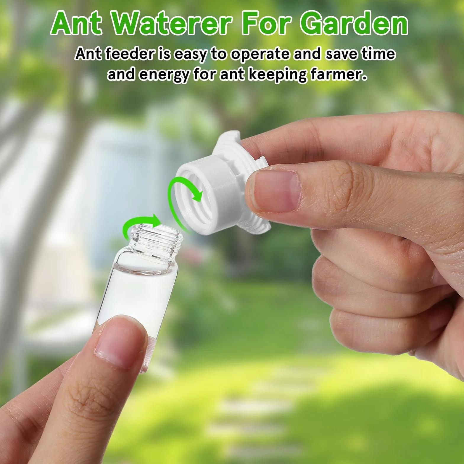 HEMOTON Bebedero para Hormigas 2 Piezas 5 Ml Plástico y Acrílico Transparente Taza Pequeña para Nido Comedero Agua Portátil para Cuidado y Alimentación de Colonias en Terrarios