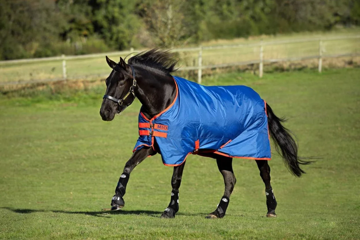 Horseware Amigo Mio Turnout Medium Black turquesa mimbre manta de invierno