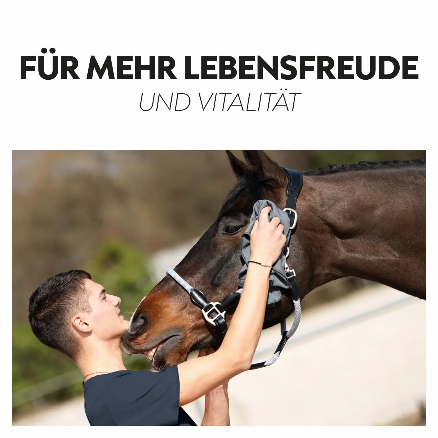 SUNRIDE Manta refrigerante con sección para el Cuello Cool Down (Juego de 3) - para Caballos - Efecto refrigerante eficaz - Cierre magnético - fácil de Usar (145 cm)