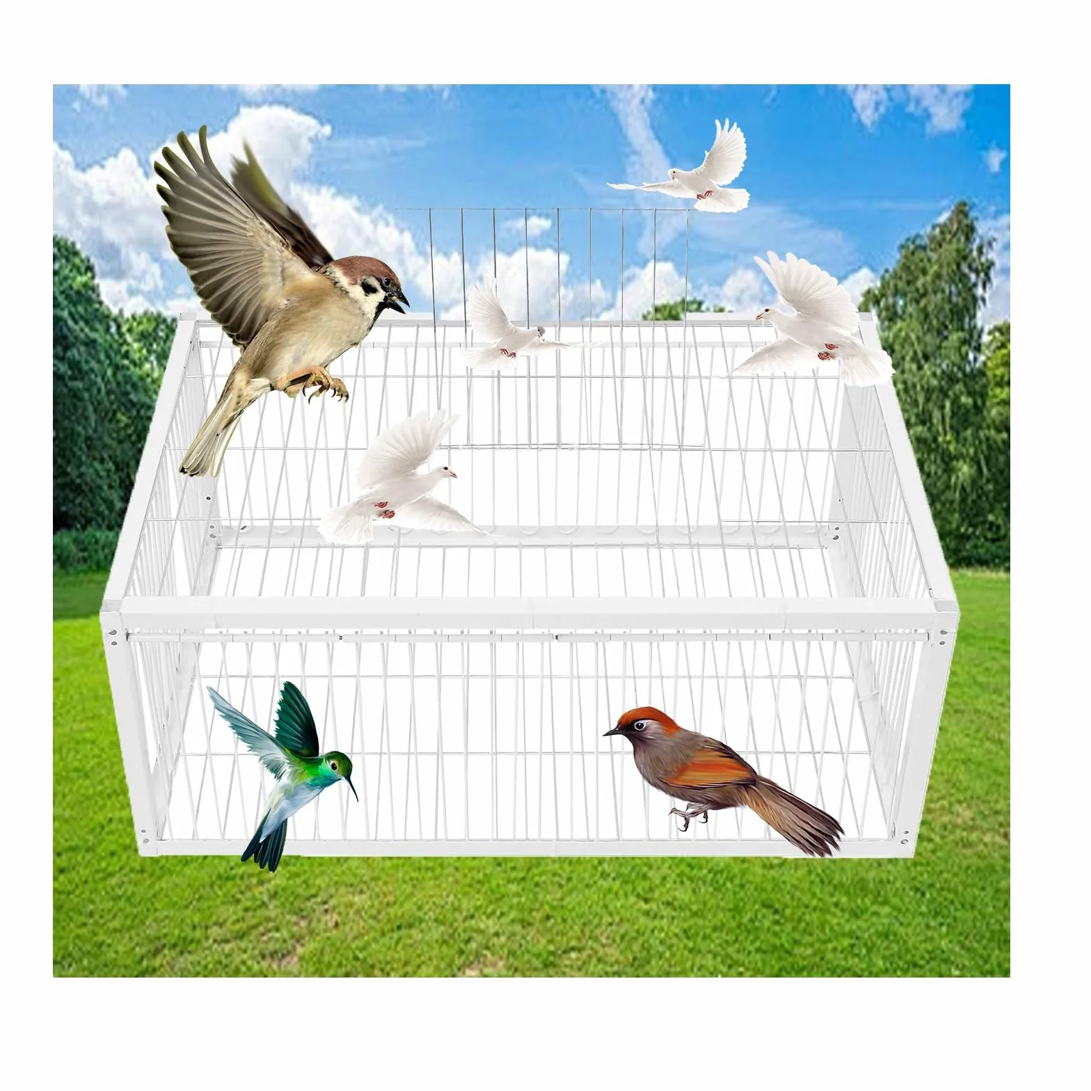 Caza de Paloma,Palomar con 4 entradas unidireccionales for Palomas,Jaula for Palomas al Aire Libre con claraboya/terraza/jardín/Granja(White,70 * 40cm)