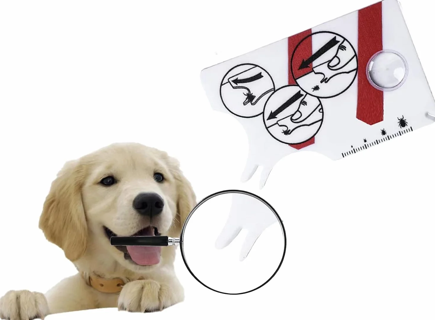 Tarjeta para garrapatas de 2 Piezas, Tarjeta para garrapatas humanas con Lupa para la eliminación rápida y cuidadosa de garrapatas en Animales domésticos o Humanos.