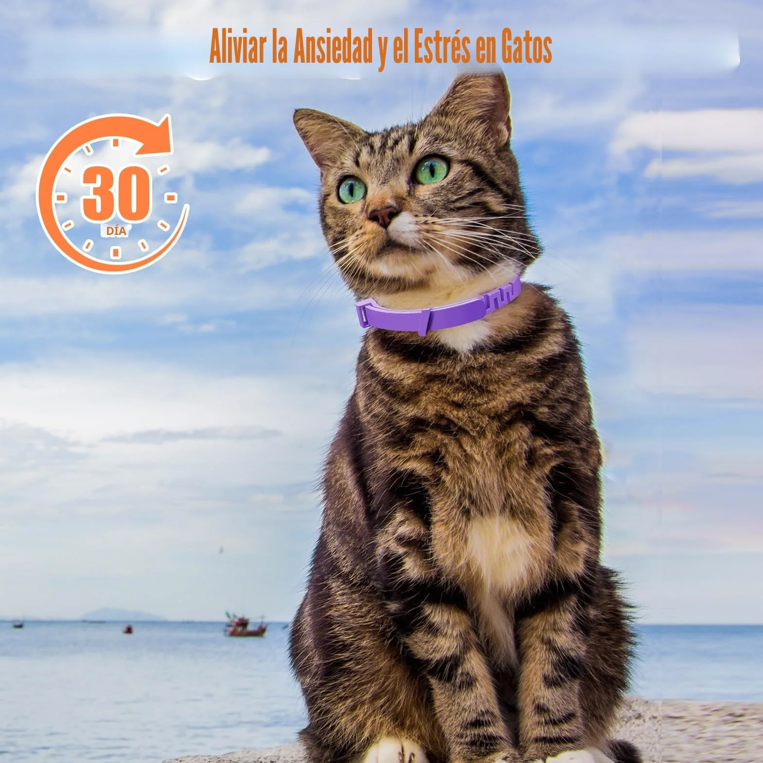 Collar calmante para gatos de 4 piezas, antiestrés natural con feromonas, color púrpura, talla ajustable y efecto 30 días, para gatitos y gatos adultos