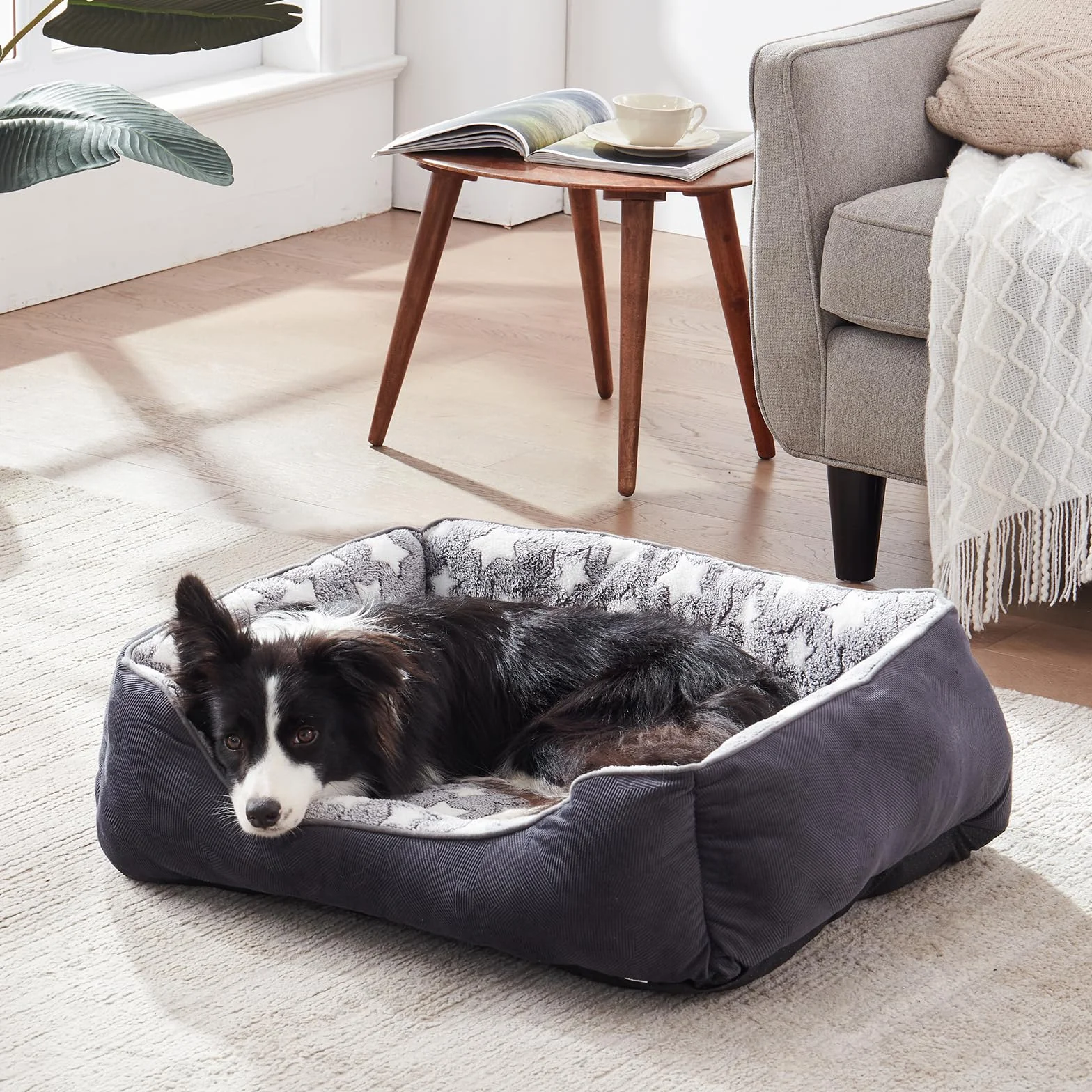 FURTIME Cama para Perros Medianos Antideslizante Antiestres - Colchon Lavable, Caseta, Cuna, Sofa - M(63x53x20cm) Negro