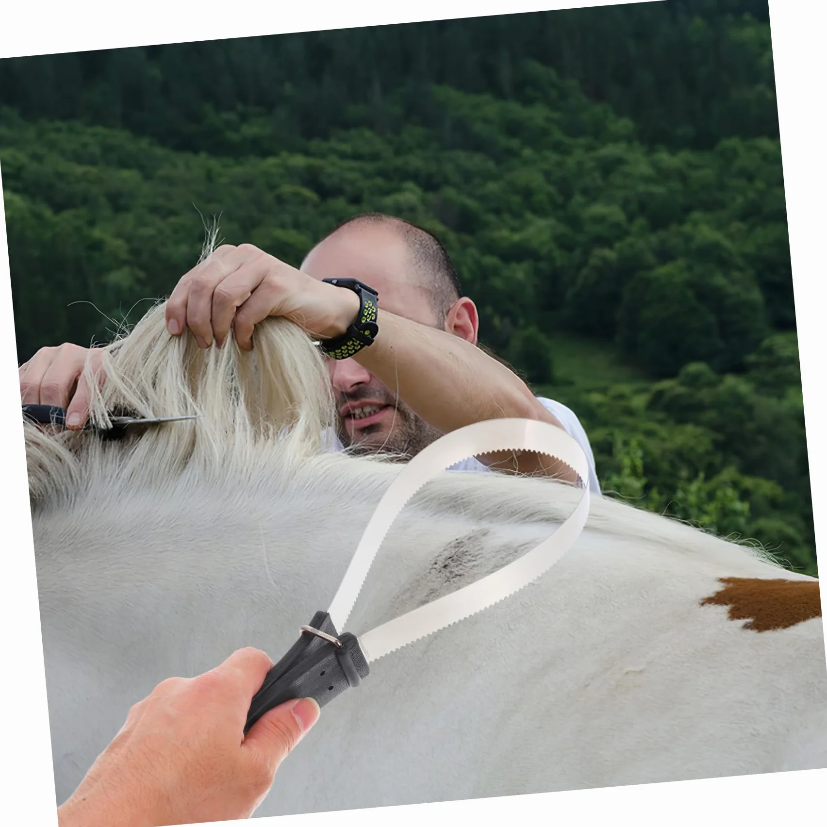 Cepillo de Pelo de Caballo con Raspador de Acero Inoxidable 11.81x3.74x0.59 Pulgadas