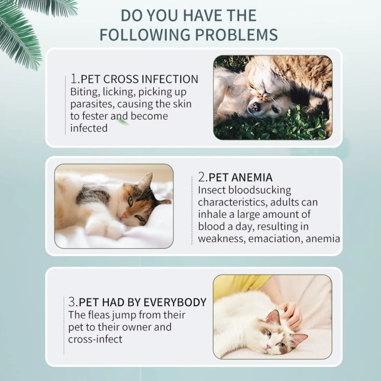 Collar antipulgas y garrapatas Pets4Luv para Gatos, Talla única para Todos los Gatos, elaborado con aceites Esenciales, Seguro y eficaz para repeler pulgas y garrapatas, protección de 24 Meses, 3pc