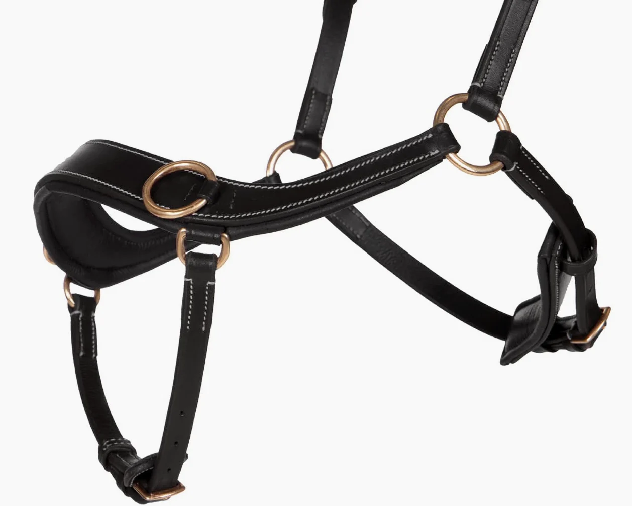 QHP Trense Anatomical de cuero sin mordida (sangre caliente, negro)