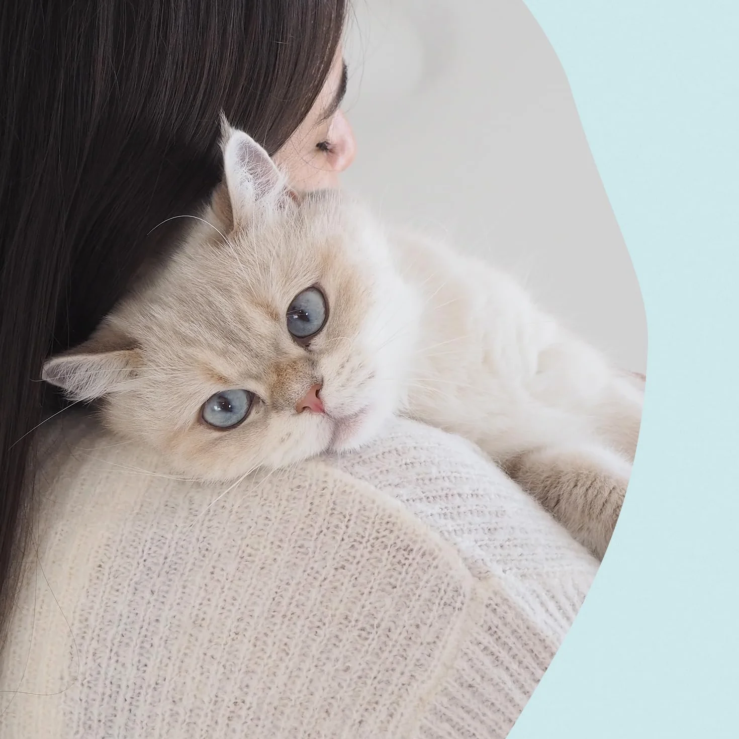 GimCat Nutri Dental Bites – Delicioso Aperitivo con una Receta específica para el Bienestar de tu Gato – 1 Bolsa (1 x 40 g)