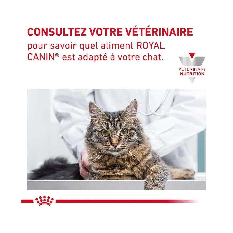 Royal Canin Gastro Intestinal Fibre Response | 12 x 85 g | Alimento dietético Completo para Gatos Adultos | para Gatos con estreñimiento crónico o Problemas gastrointestinales similares