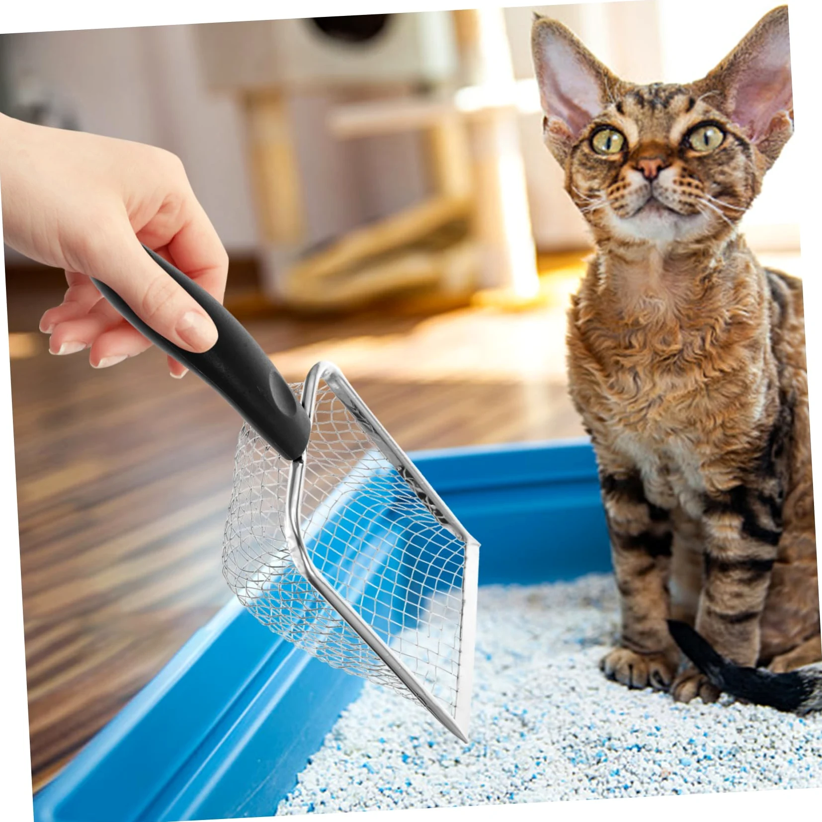Cuchara de arena para gatos y reptiles, espátula de precisión para uso doméstico, diseño duradero y eficiente