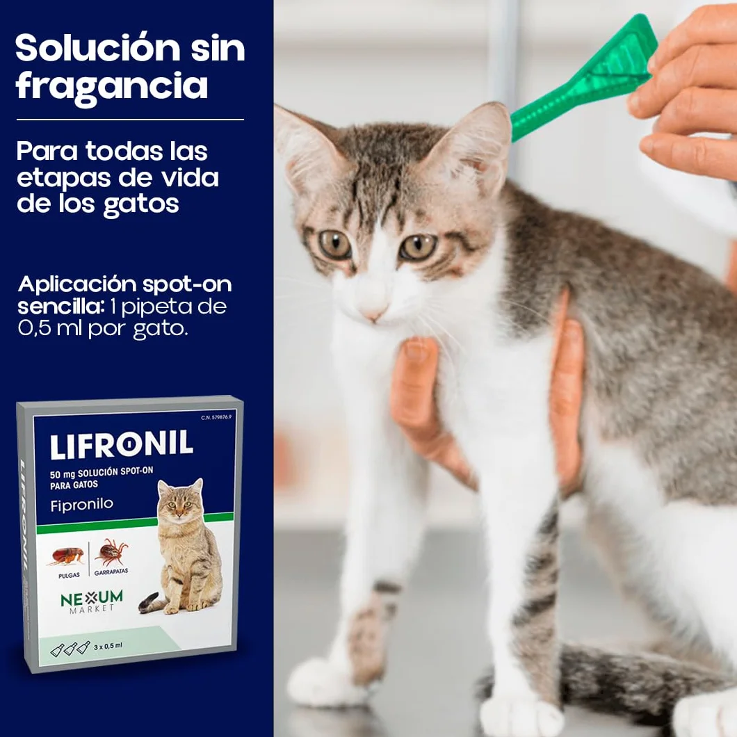 Pipetas Gatos LIFRONIL x3 Pipetas contra Pulgas y Garrapatas | Apto para Todo Tipo de Gatos a Partir de 2 Meses y más de 1 kg de Peso | Protección hasta 5 Semanas | Nexum Market (Pack de 1 Unidad)