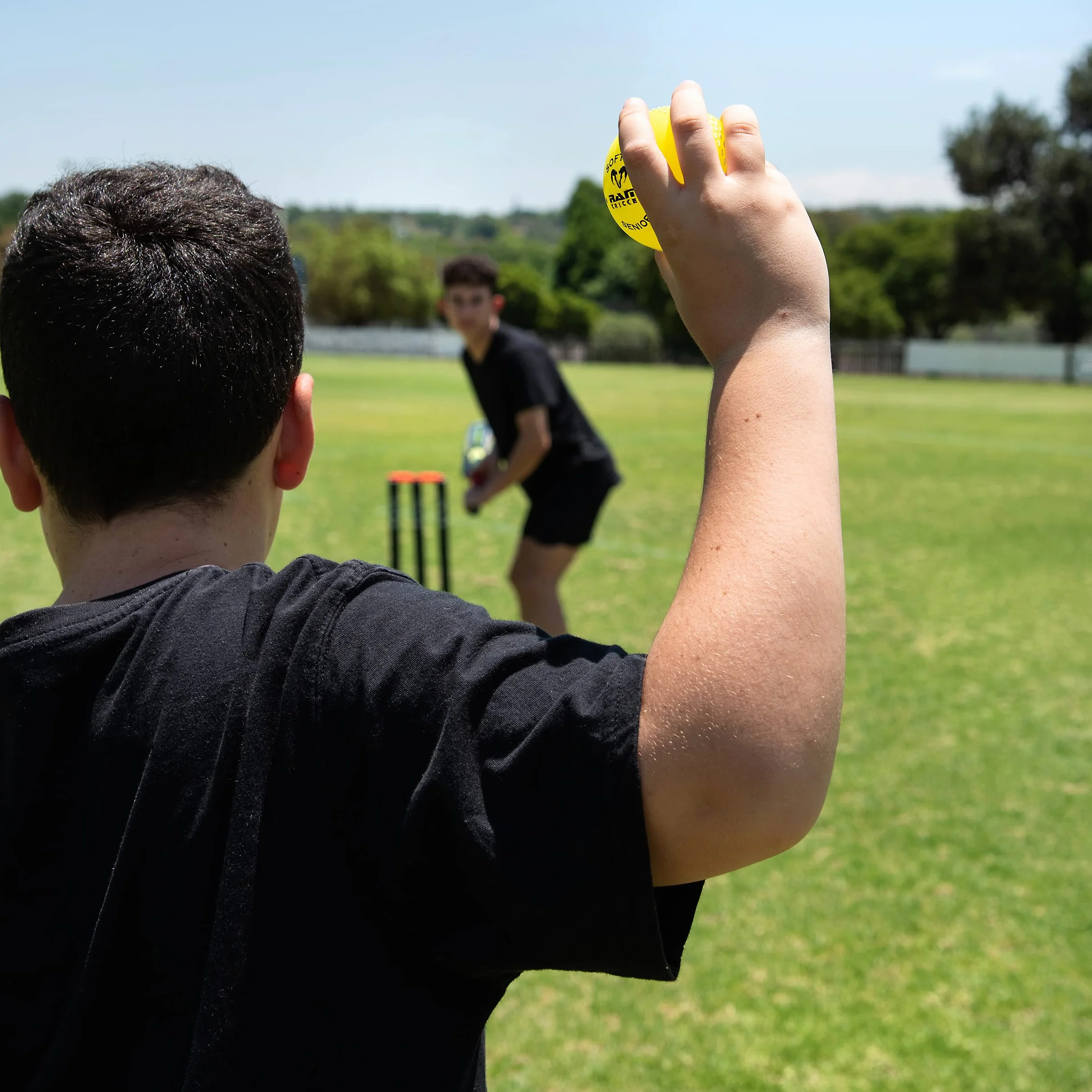 Ram Cricket Softee Pelota de Entrenamiento Amarillo 6 Unidades