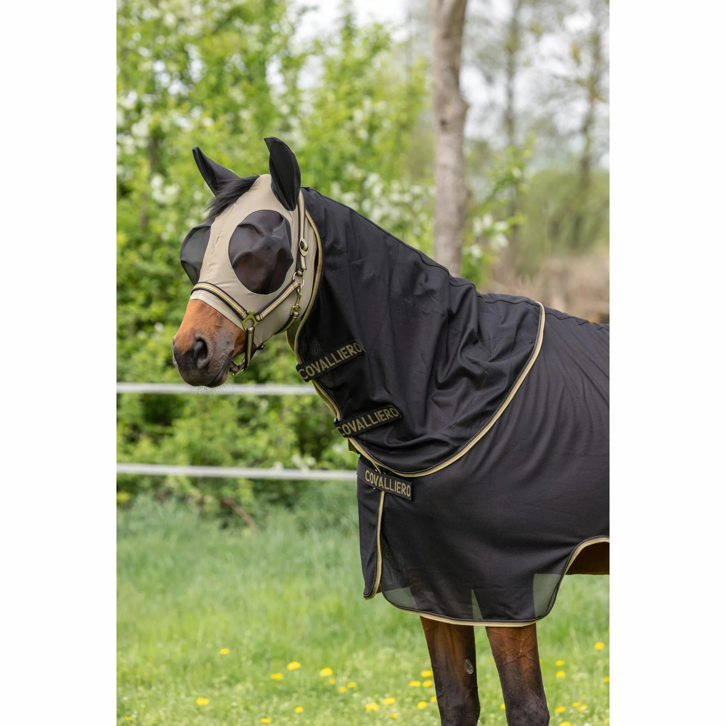 COVALLIERO FinoStrech FS26 - Máscara antimoscas con cremallera para caballo, elástica y ligera, protección para los ojos y la cabeza (nogal, mazorca)