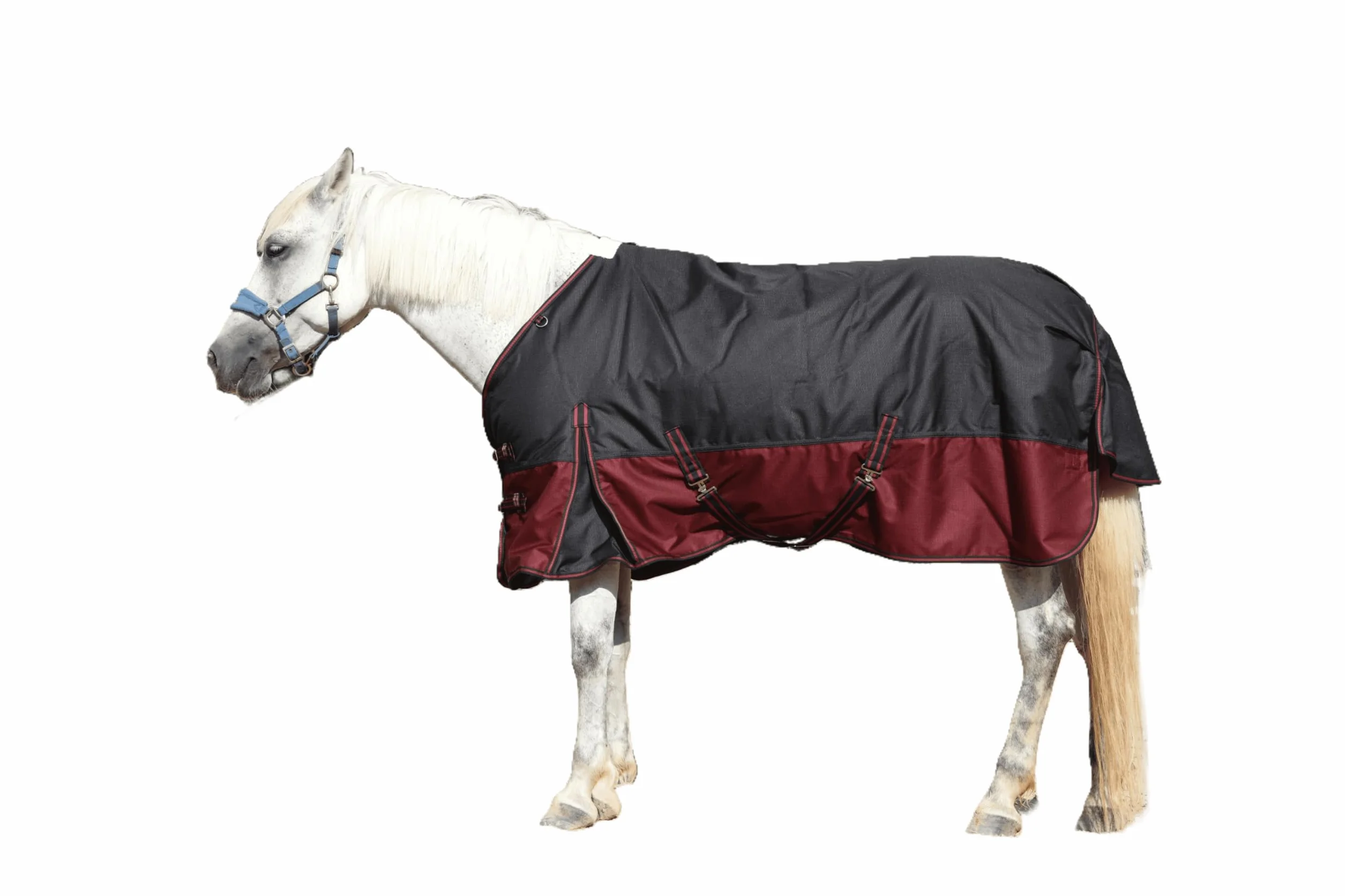 LEAFOREST Manta de caballo resistente 1200D, 200 g/m², acolchada, impermeable, transpirable, para exteriores, fácil de limpiar, para caballos, manta de invierno, color rojo negro, 145 cm