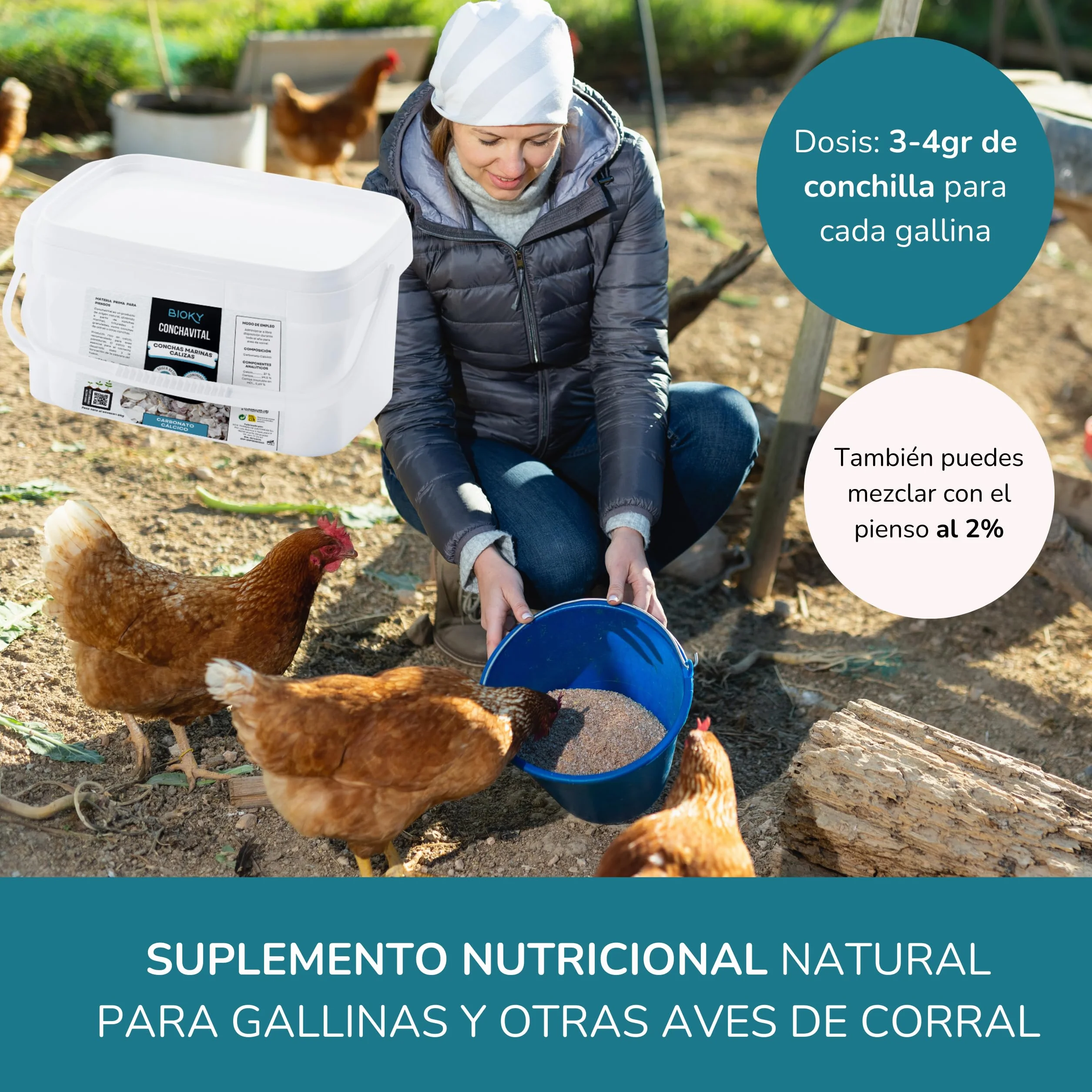 ConchaVital 6kg - Calcio para Gallinas Ponedoras y Otras Aves - Conchilla de Ostra - Pienso +12 Minerales - Mejora Calidad del Huevo, Corrige Carencias Nutricionales y Mejora Productividad