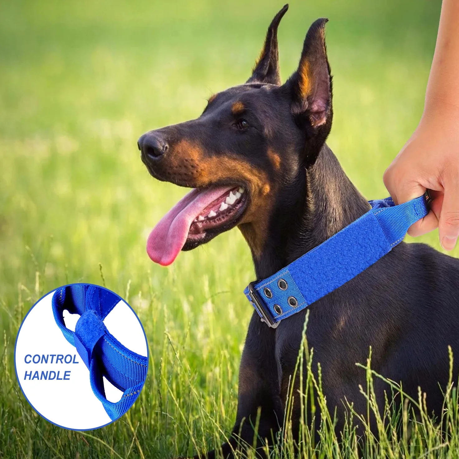 Collar reflectante para perro, collar táctico resistente con mango de control y hebilla de metal para entrenamiento de perros (M,azul)