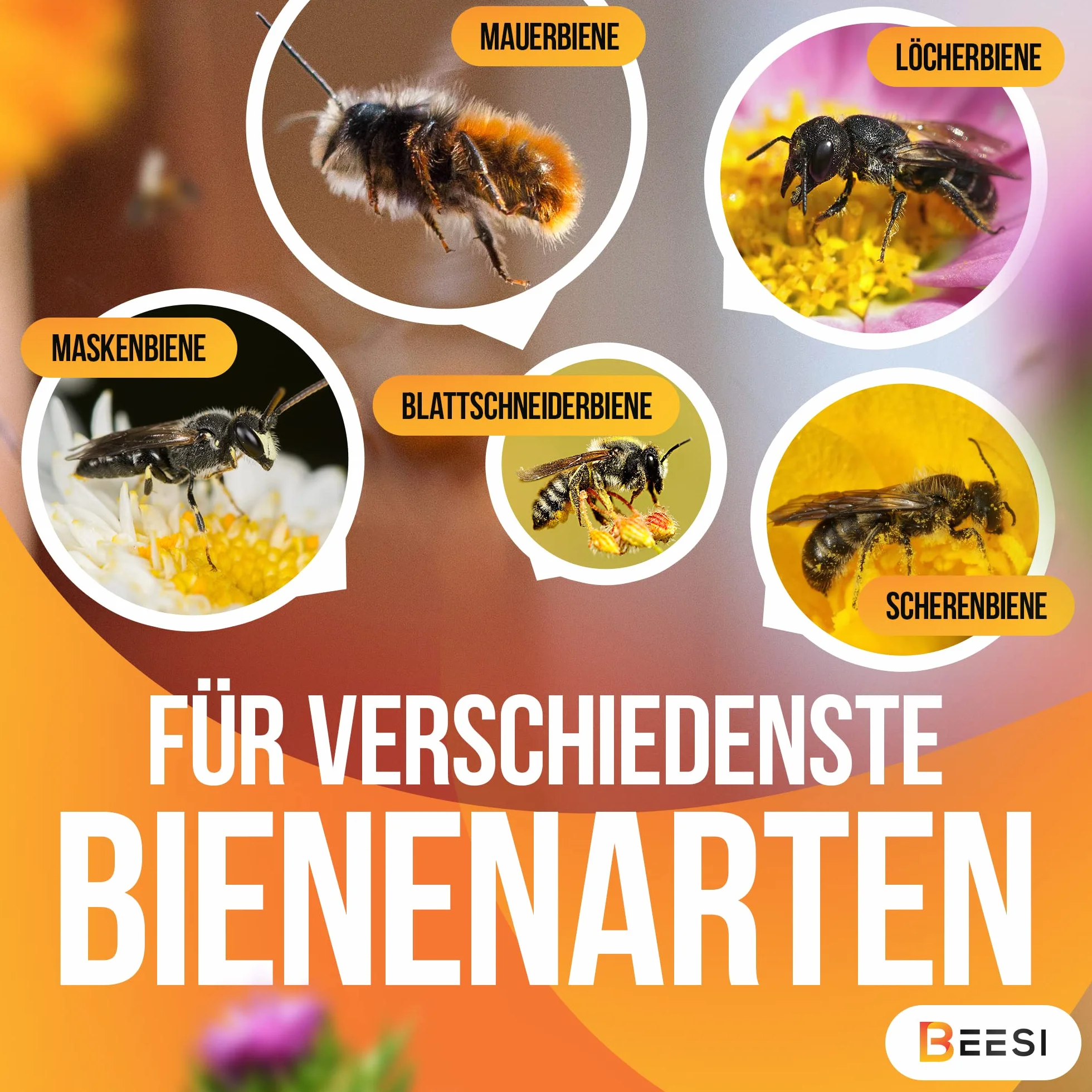 BEESI 300 casquillos de nido para hotel de insectos de 15 cm de largo, 6 y 8 mm de diámetro, mezclados, incluye libro electrónico de nido y tubos de cartón para abejas silvestres..