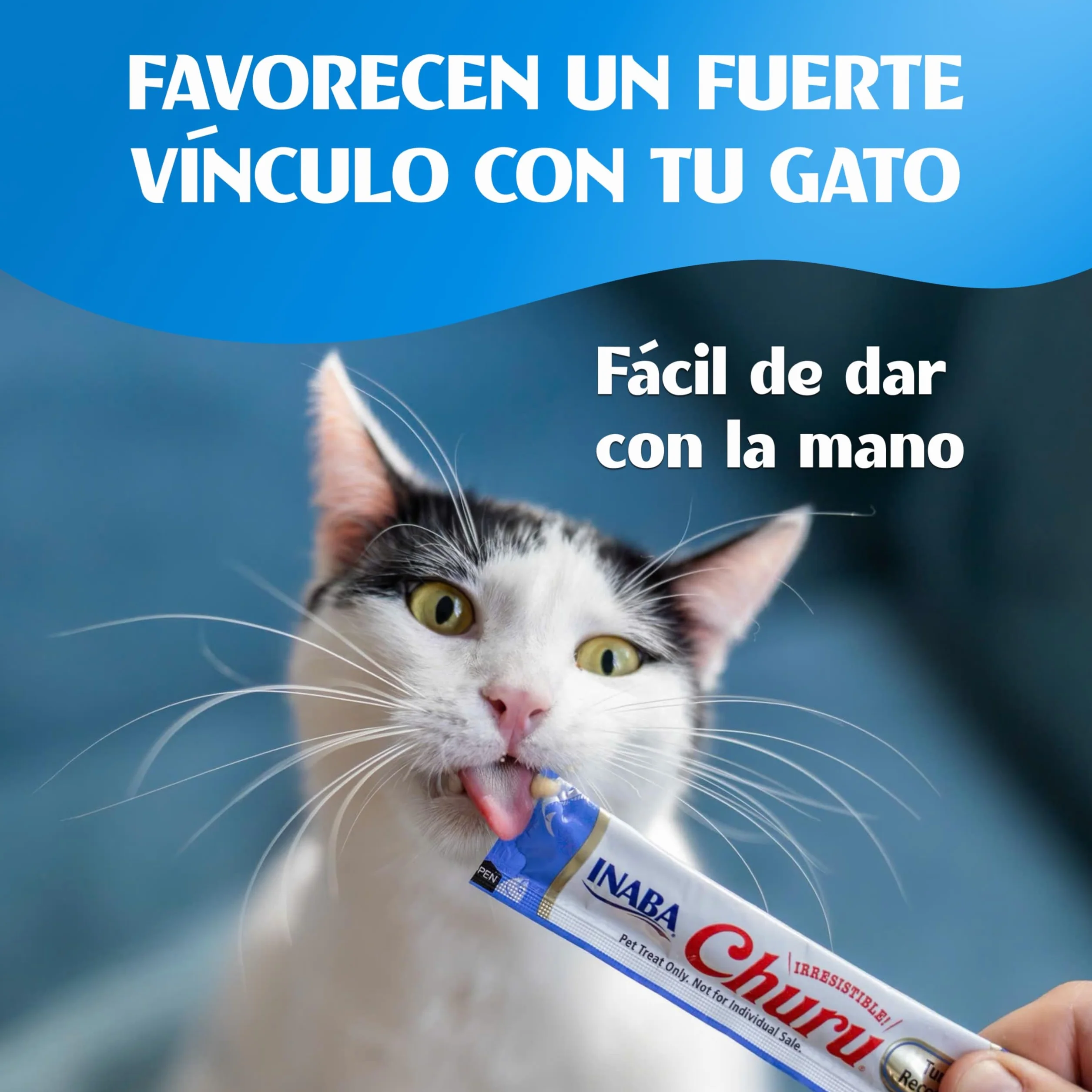 INABA Churu Gatos - 6 Recetas de Snacks Saludables a Base de Atún y Pollo - Deliciosos Premios con Textura Suave y Cremosa - Natural, Sin Cereales, Sin Colorantes - 1,68kg (120 Tubos x 14g)