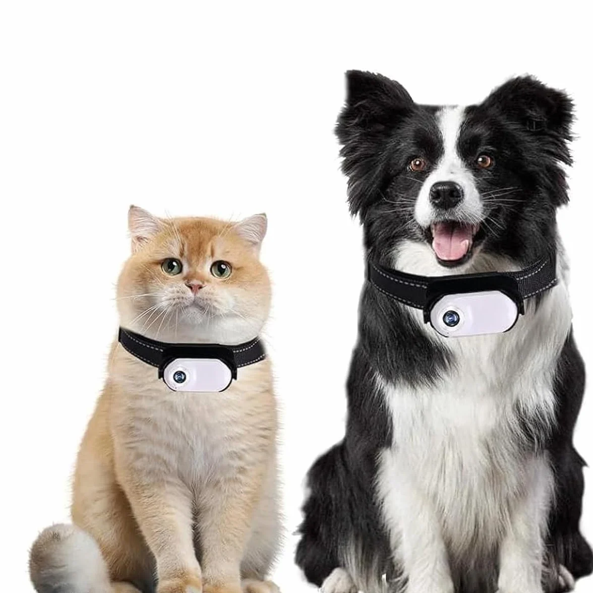 Cámara de acción con collar para gatos y perros, sin necesidad de wifi, para uso en interiores y exteriores, color blanco