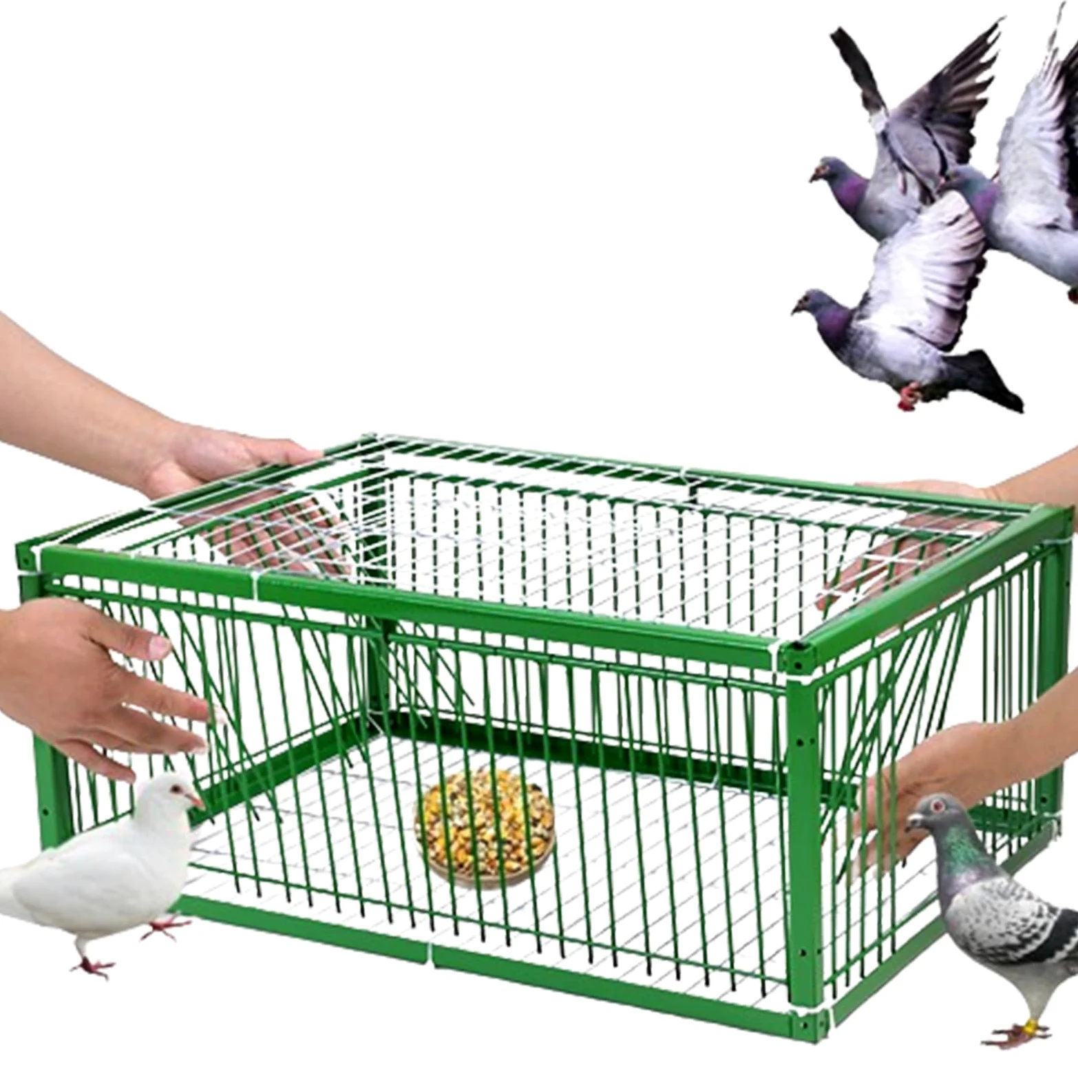 Jaula trampa para palomas, palomas y loros, ajustable de 40, 60, 70, 90, 100 cm, eficaz para recoger pájaros y suministros de bing (40 x 40 x 26 cm)