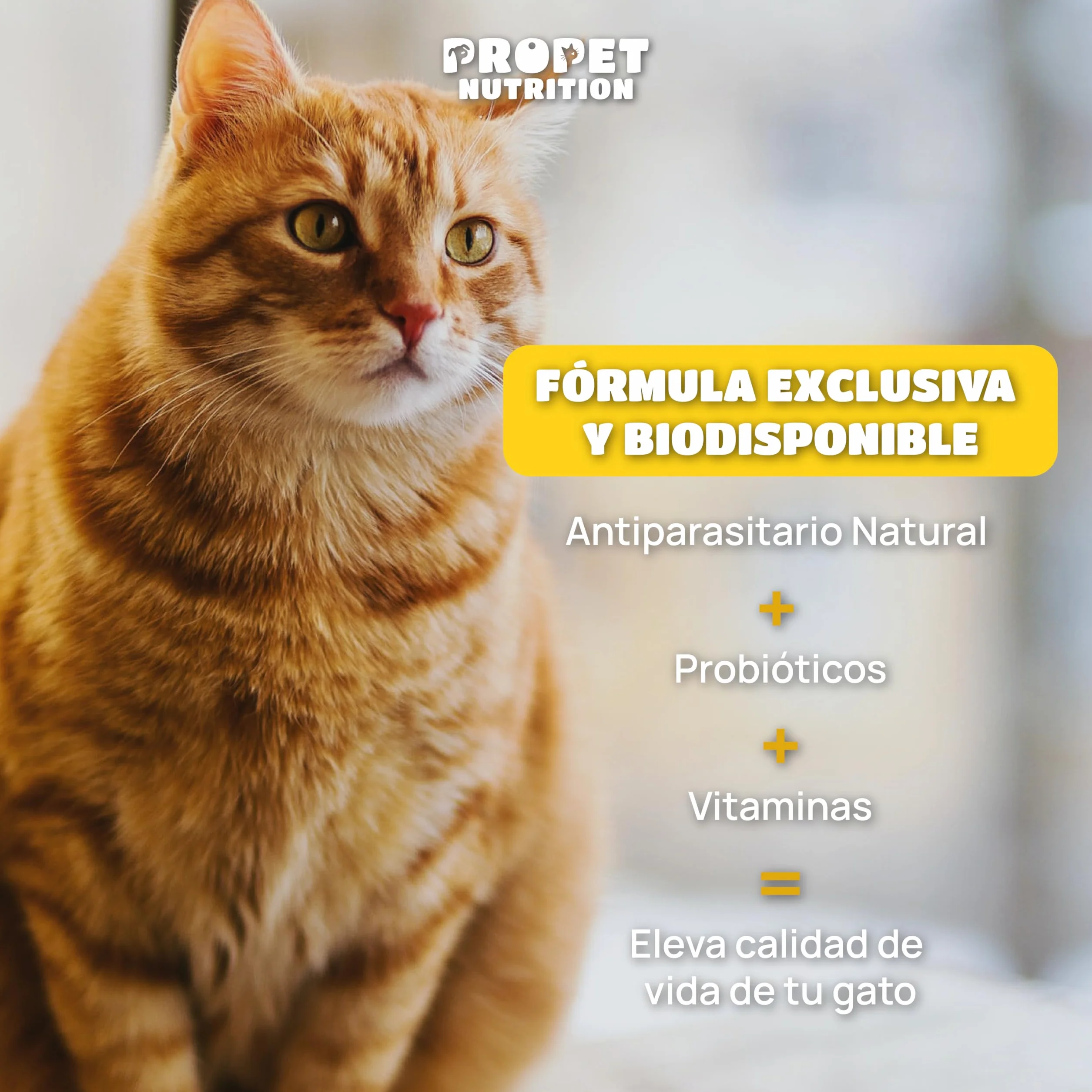 Desparasitente Gatos Interno. 100% Natural. 120 Dosis. 12 Plantas de Rápida Absorción y Eficacia. con Malta, Vitaminas y Probióticos. Antiparasitario Gatos. Desaparasita, Repara y Previene