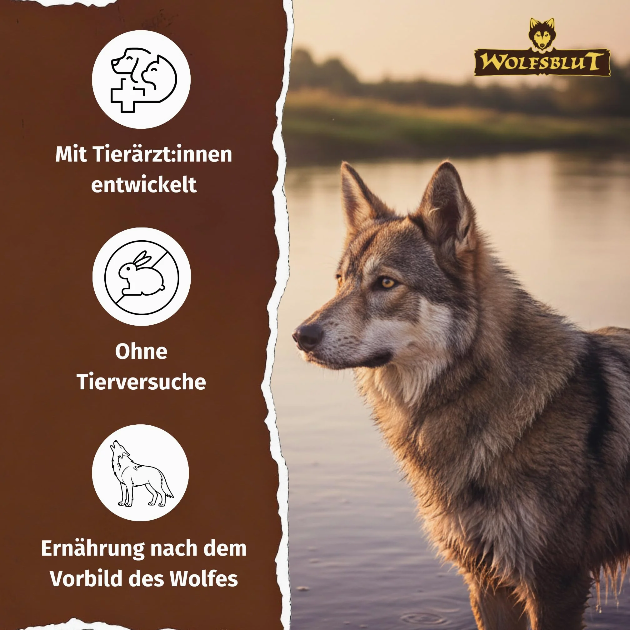 Wolfsblut Wide Plain Light 12,5 Kg