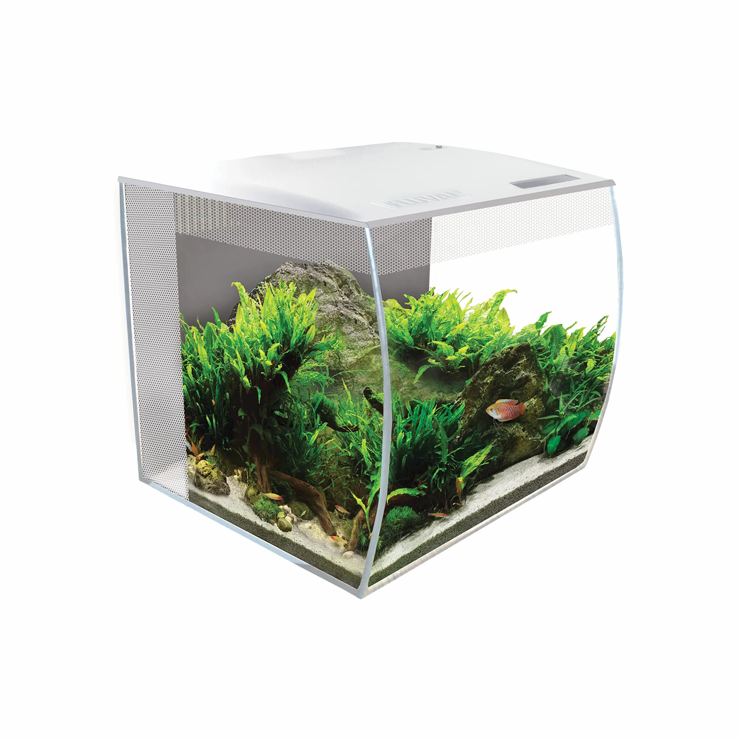 Fluval Flex Kit Acuario Blanco 34 L 1 Unidad 6570 g