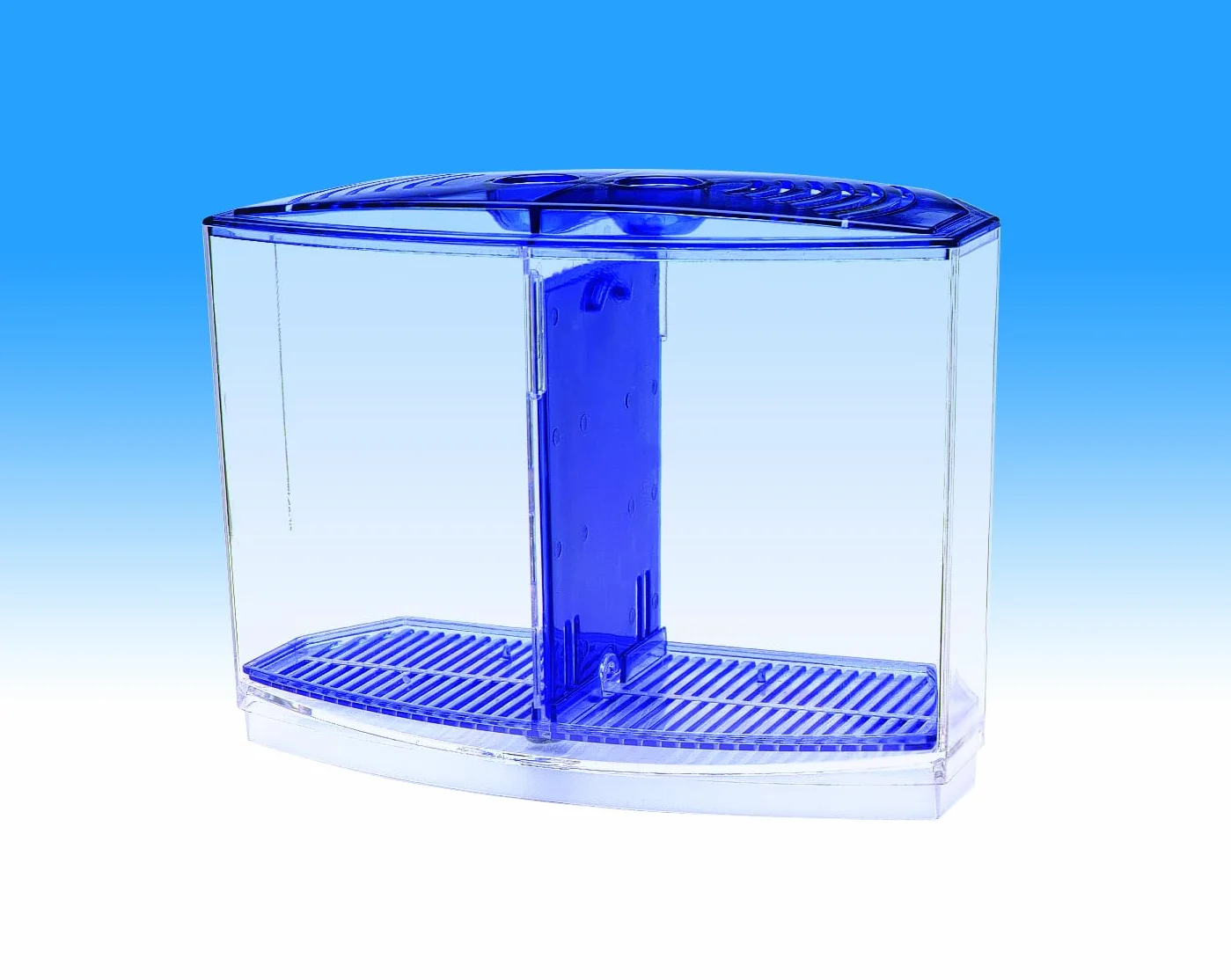 Penn-Plax Kit Doble Betta Bow-Front para Acuario Azul, Verde, Tanque Mide 19 cm en la Parte Delantera, 15 cm en la Parte Posterior