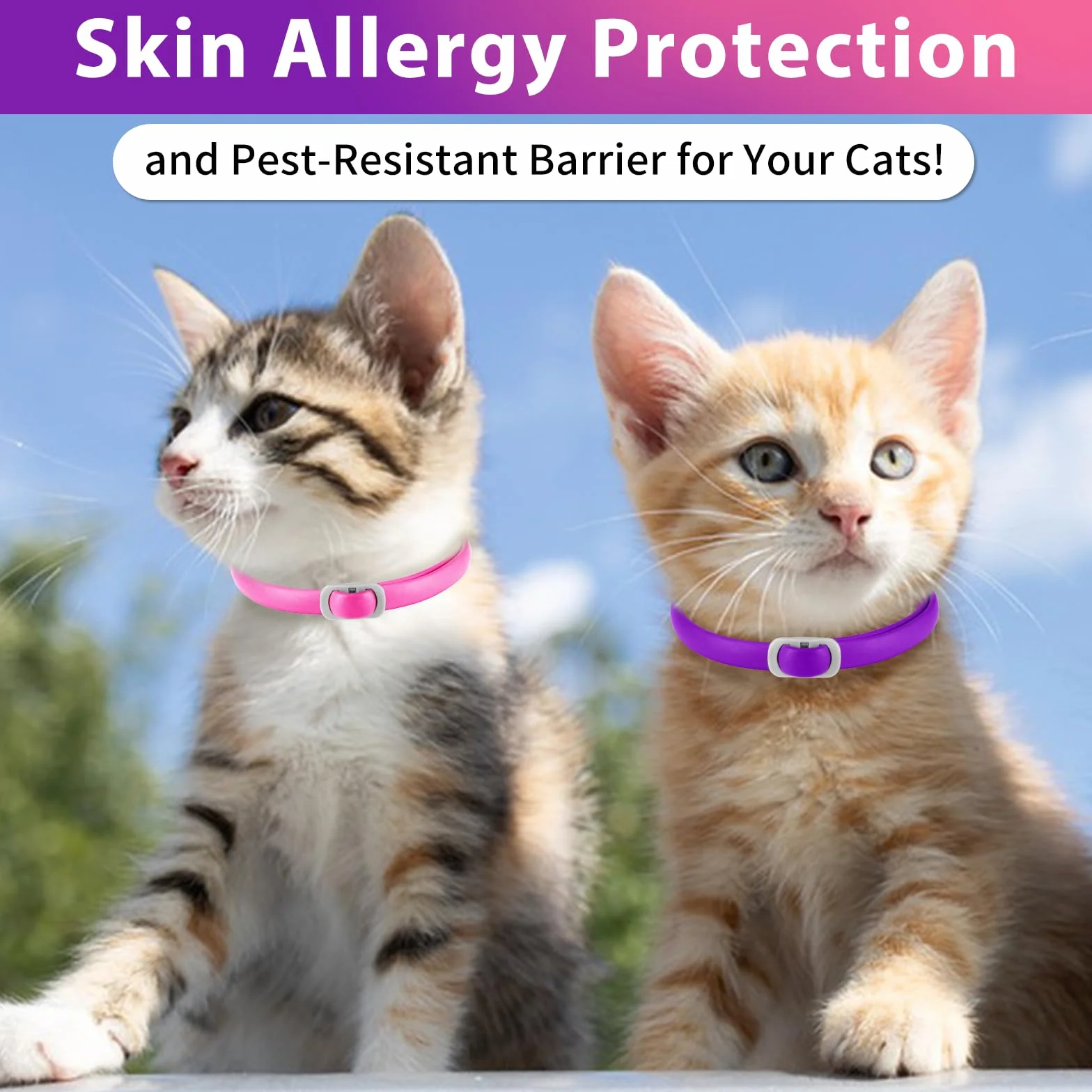 Collar Antipulgas para Gatos,Seguro y Eficaz para el Control de Pulgas y Garrapatas,Collar Antipulgas y Garrapatas,Ajustable para Todas Razas Tallas,24 Meses de Protección