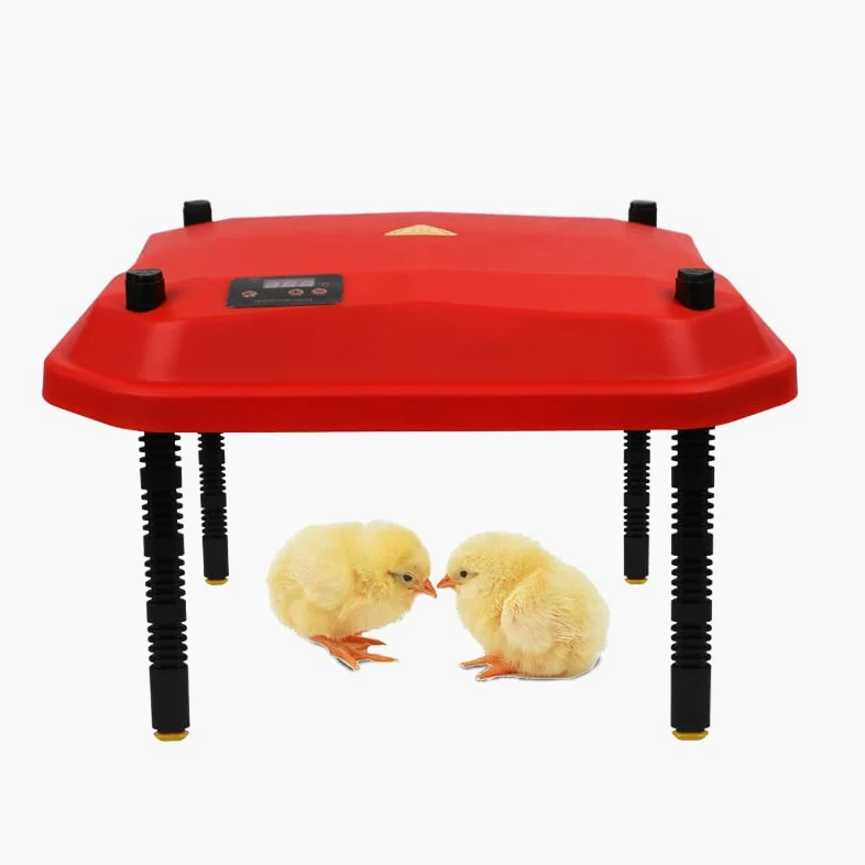 Lámpara de Calor para Pollitos, Calentador, Caja criadora de Aves de Corral, lámpara de Calor para Pollitos, termostato (12" x 12"), 20 Pollitos
