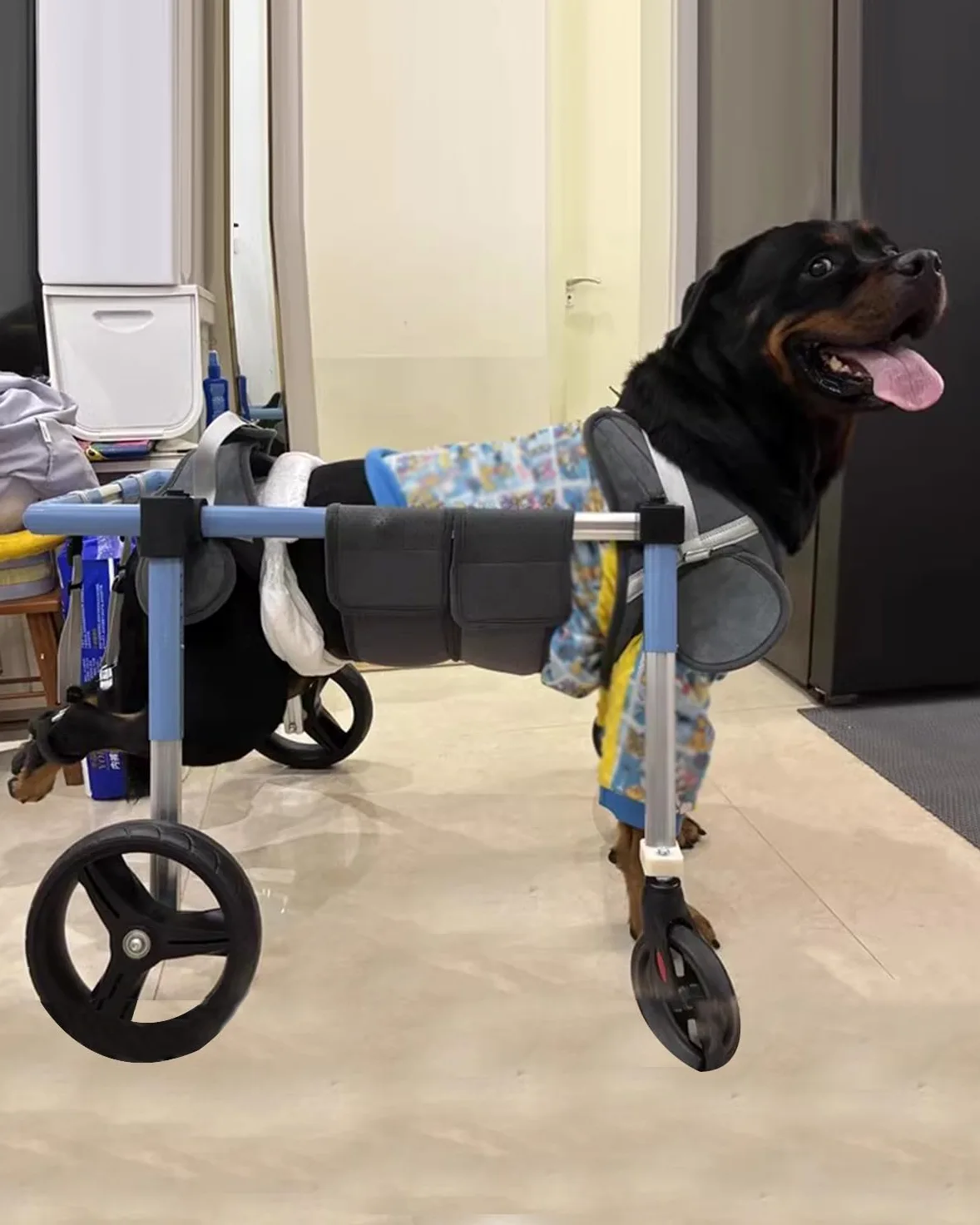 Silla Ruedas Perro Carro de Recuperación para Perros con Ruedas Ajustables de 2 o 4 Pulgadas, Carrito de Rehabilitación para Mascotas Pequeñas o Grandes con Extremidades Traseras Tallas XS a XXL,(XXL)
