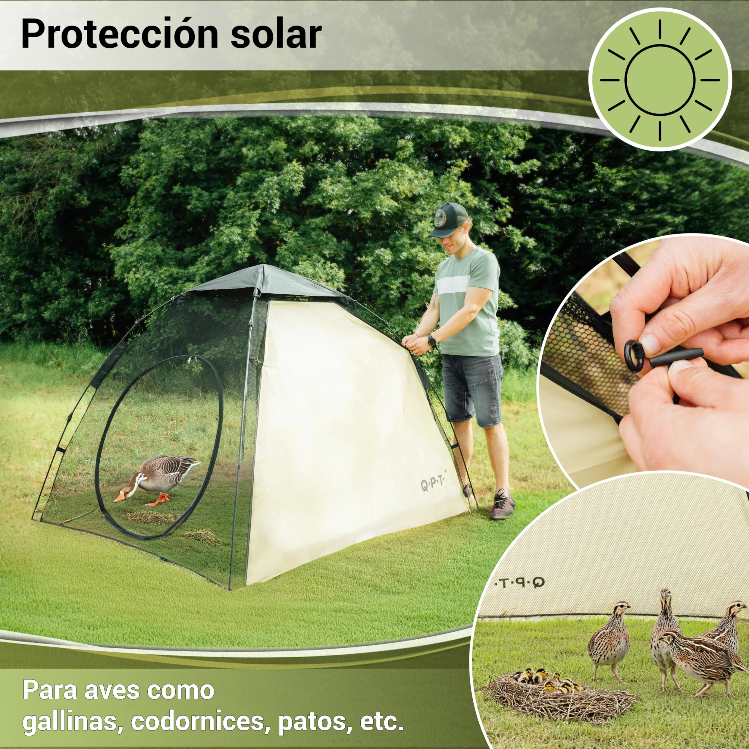 Q.P.T. Recinto para Animales pequeños - 200x180x145 cm, Puede Utilizarse como recinto o gallinero para gallinas, Patos, Pollitos o codornices