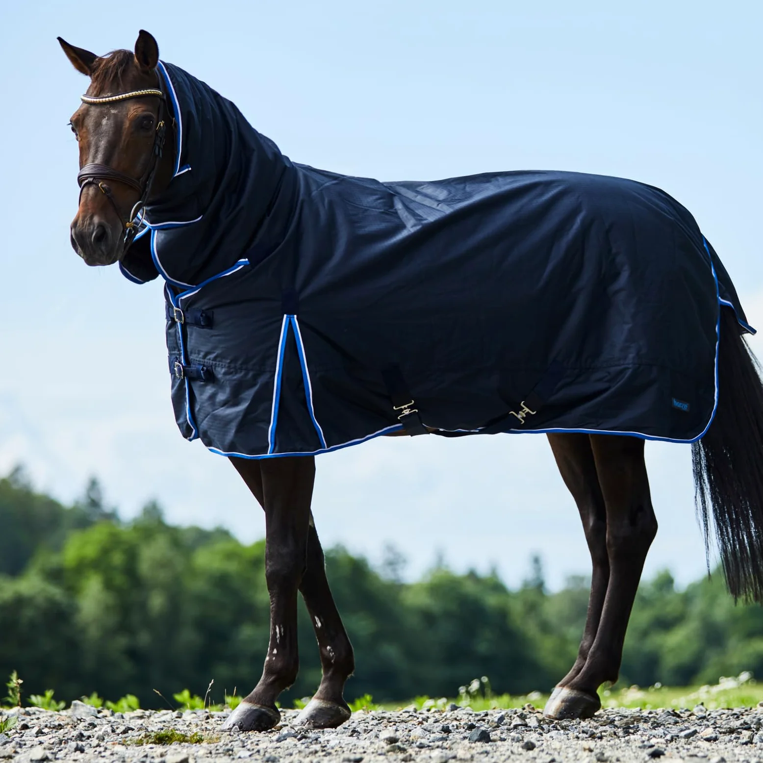 HORZE Manta para Caballos de Exterior Glasgow 150 g