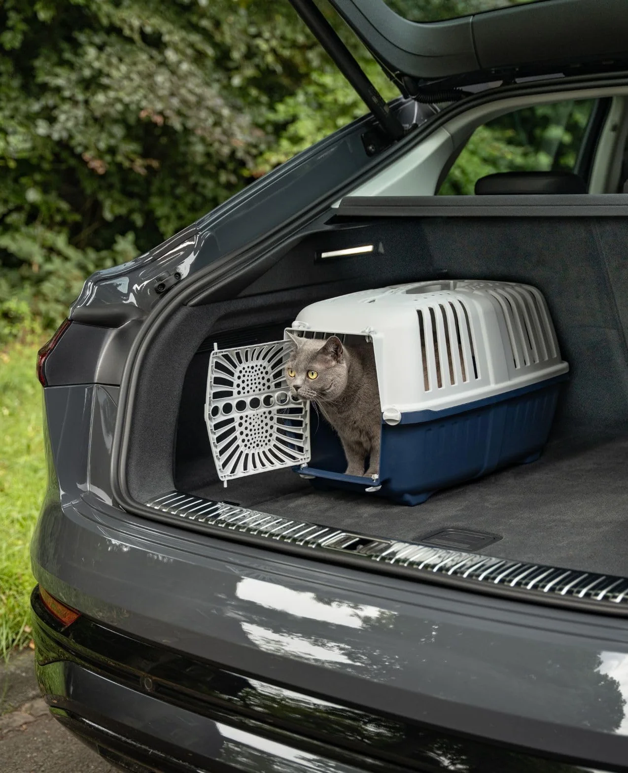 lionto Caja de Transporte de plástico Reciclado para Perros y Gatos, Caja de Transporte para Mascotas, 55x36x36 cm, Azul Oscuro