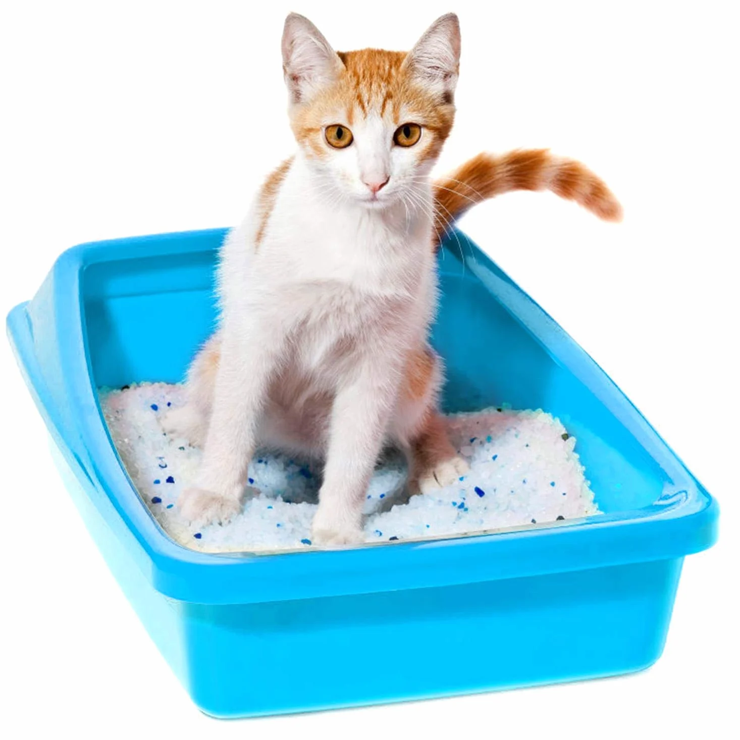 Nobleza - 30.4L Arena para Gatos de sílice Camada para Gatitos de Gel de Diamante Absorbente, Cómodo Biodegradable