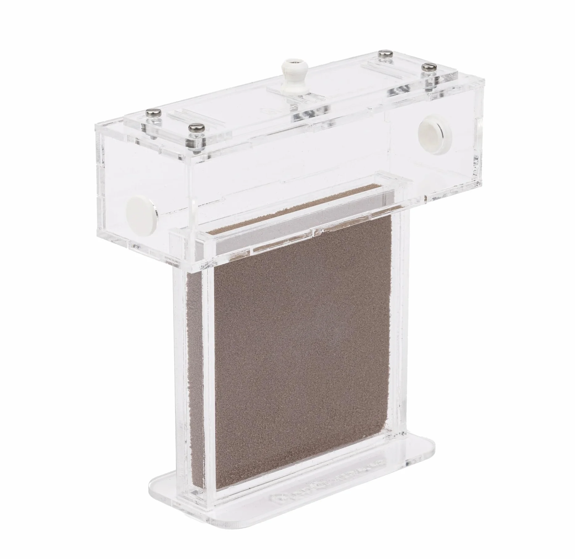 Kit Hormiguero Acrílico de Espuma en Forma de T Mini - Sándwich 14x5x14cm cm y Caja de Forrajeo - Hormiguero con Hormigas Vivas Incluidas (Reina, Obreras, Huevos y Larvas) - Transparente