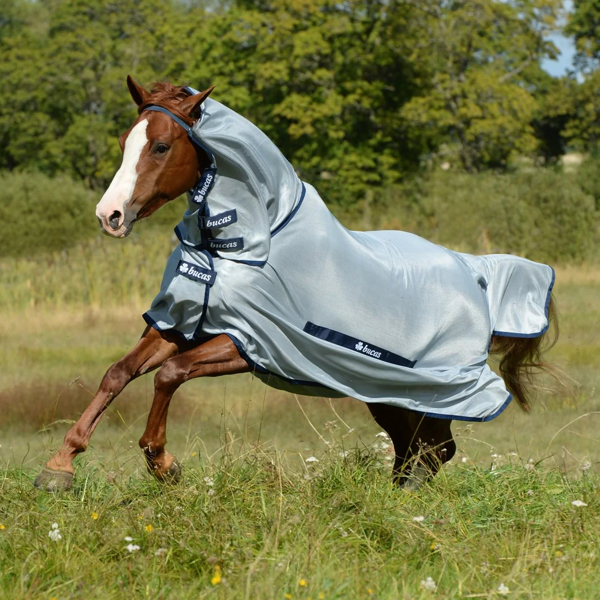 Protector completo contra insectos para caballos con cuello tapado de Bucas, color plateado y azul