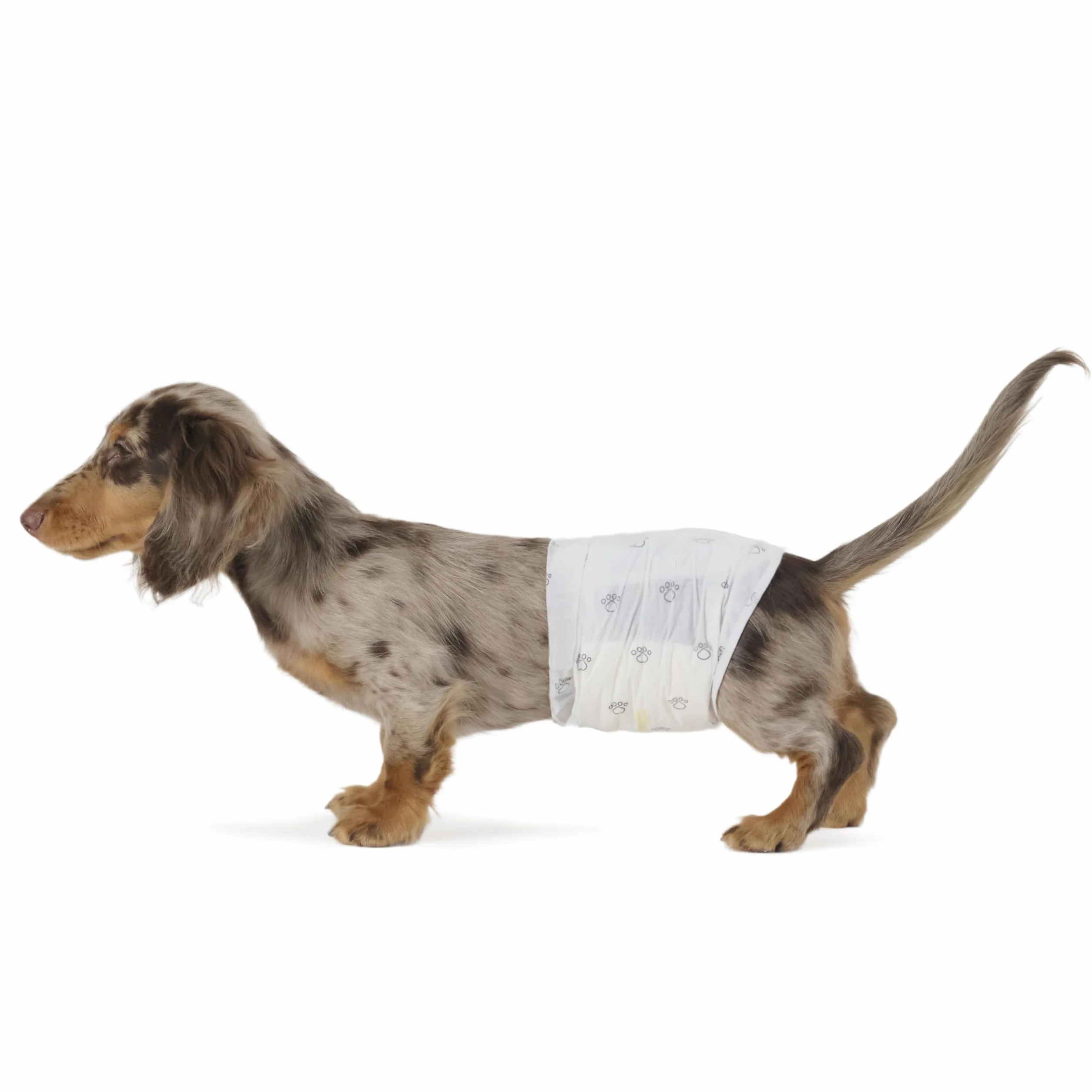 Amazon Basics Pañales Desechables para Perros Macho, Talla S, Paquete de 50, Blanco