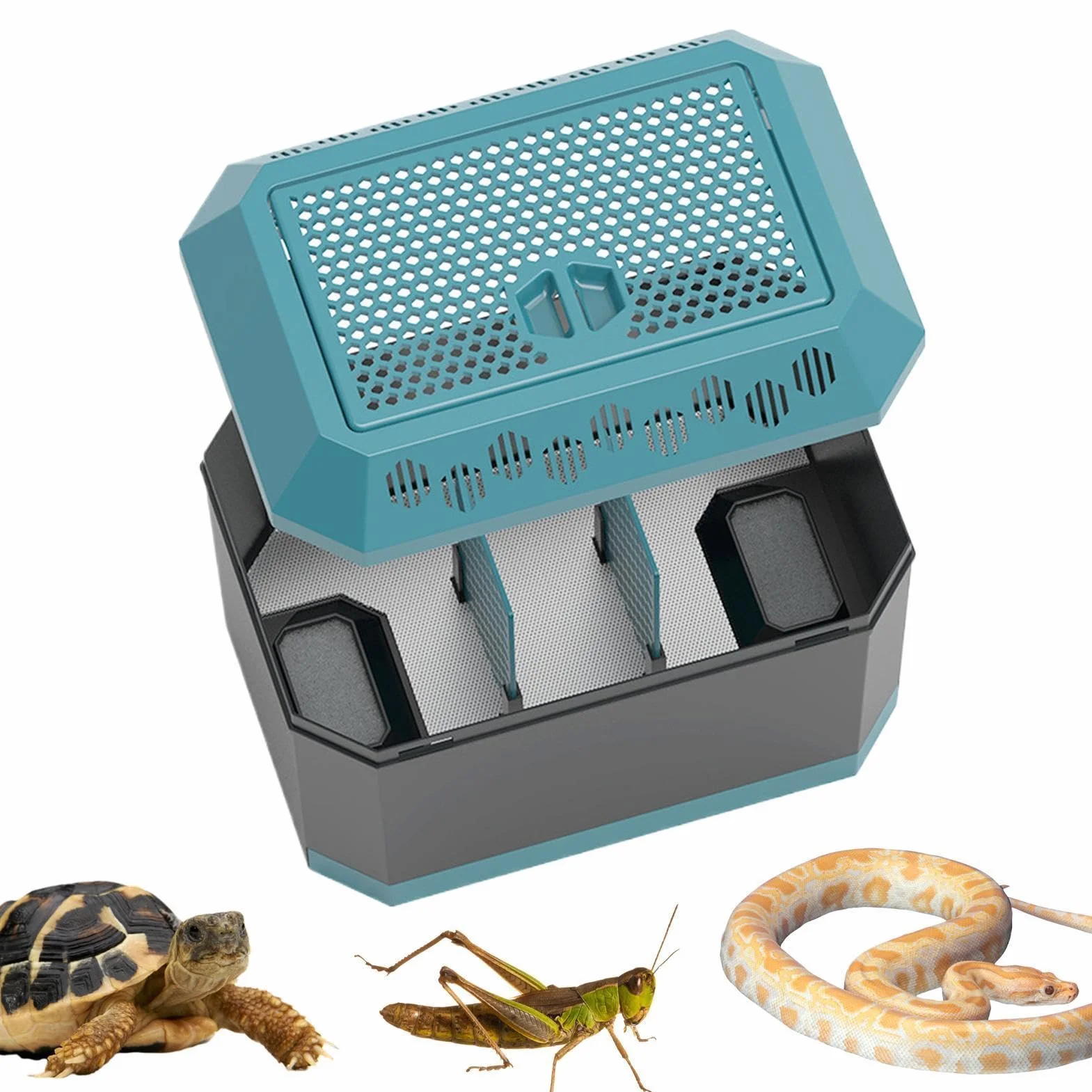 Transportín de viaje para reptiles - Terrario de ABS de 8.43x5.51x5.83 pulgadas, contenedor para transpirable, para cría de mascotas pequeñas, para cucarachas co