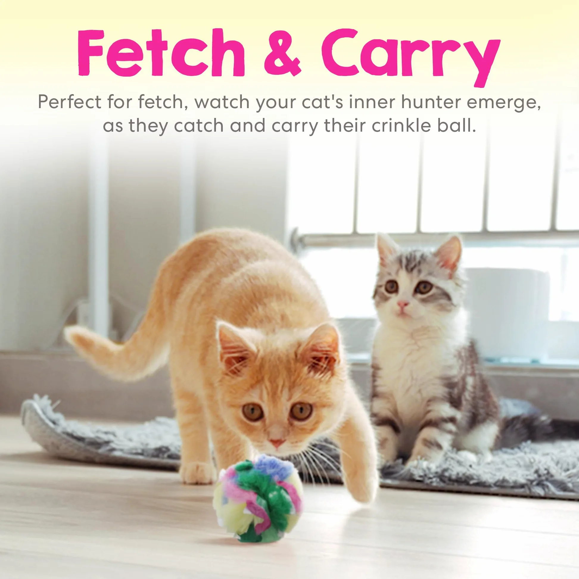 cancor innovaciones Crinkle Ball Cat Toy