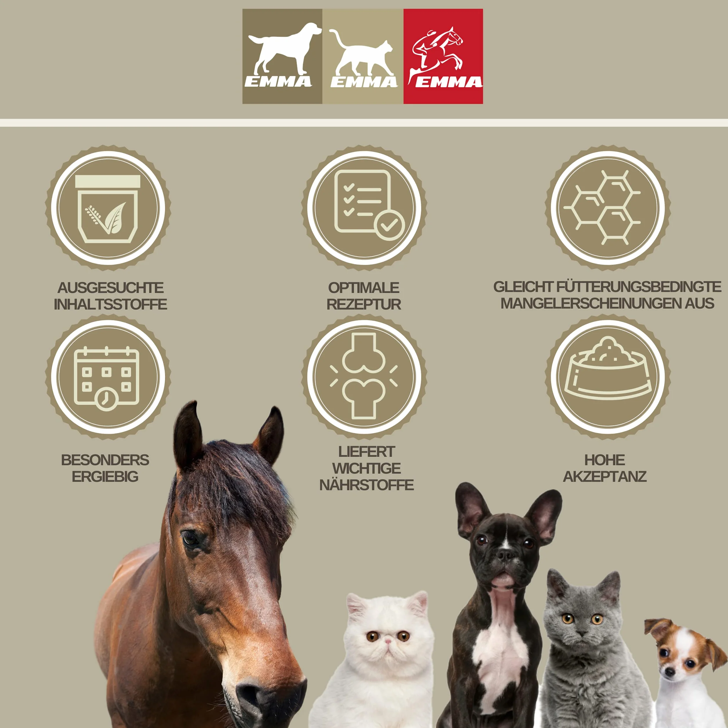 Cuidado de la rana para los caballos I Protección de la rana I Cuidado de los cascos I Casco, suela de la rana I Gel I Prevención de la podredumbre I Medios para proteger el cuerno de la rana 100ml