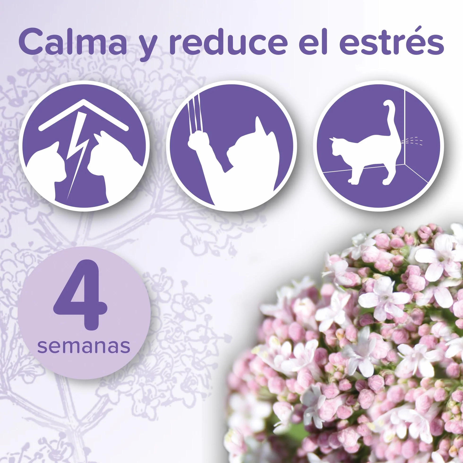Beaphar No Stress Recambio Antiestres Natural Gato 30ml, Recarga, Antiestres Natural Gatos, Reduce Estrés y Ansiedad, Arañazos, Miedos, Cambios Entorno, Ruidos, Marcaje con Orina, Conflictos, 30ml