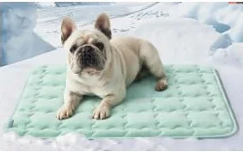 luciphia Alfombra refrescante para perros y gatos,Alfombrilla para perros,cojín refrescante para el verano,cama lavable para perros,manta refrescante perros grandes,medianos y pequeños Verde 51*77cm