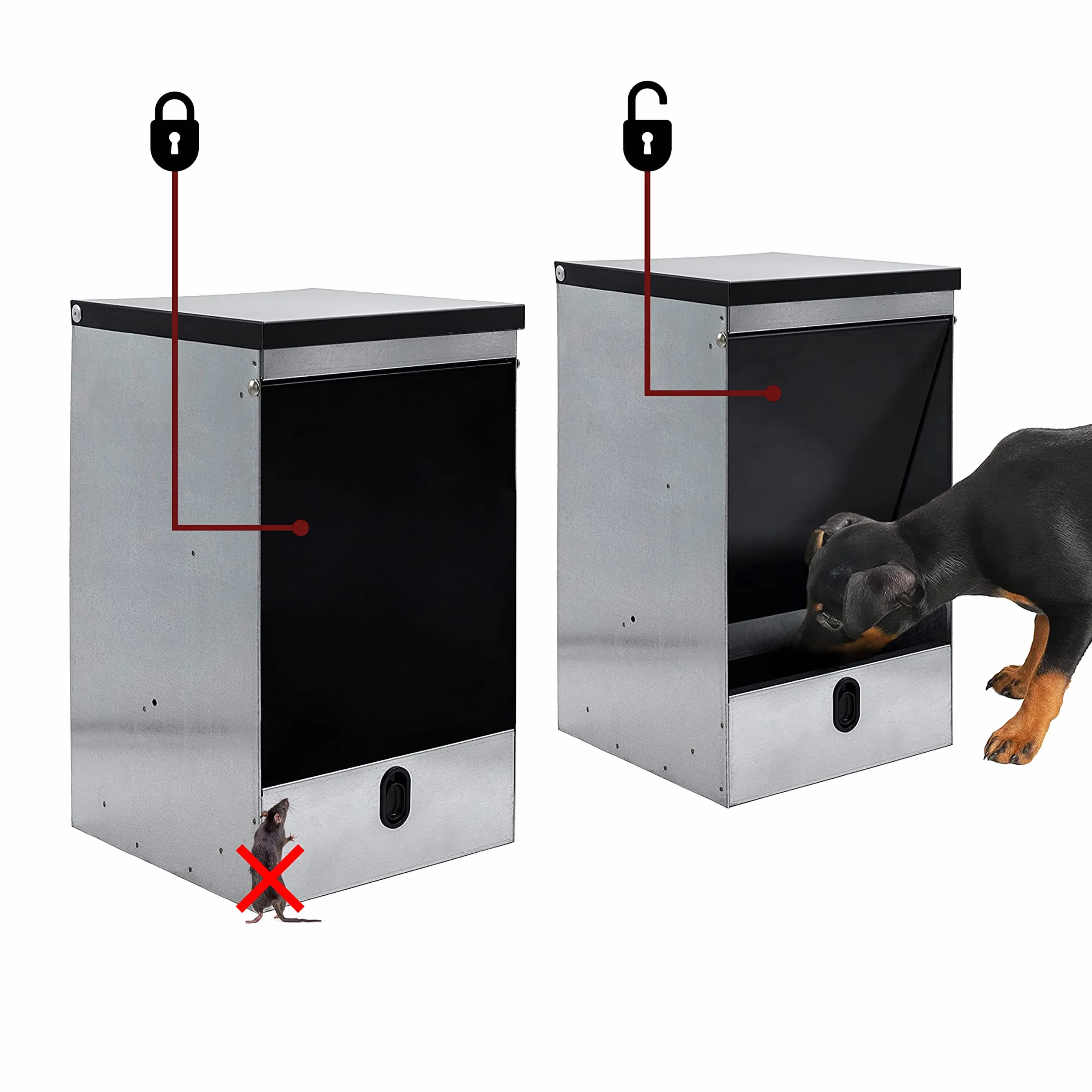 Tolva Autoservicio para Perros | Tapa Basculante Antipájaros y AntiRatones | Elegante diseño en Negro | Gran Capacidad 10 kg, 20 kg, 40 kg (10kg Negro)
