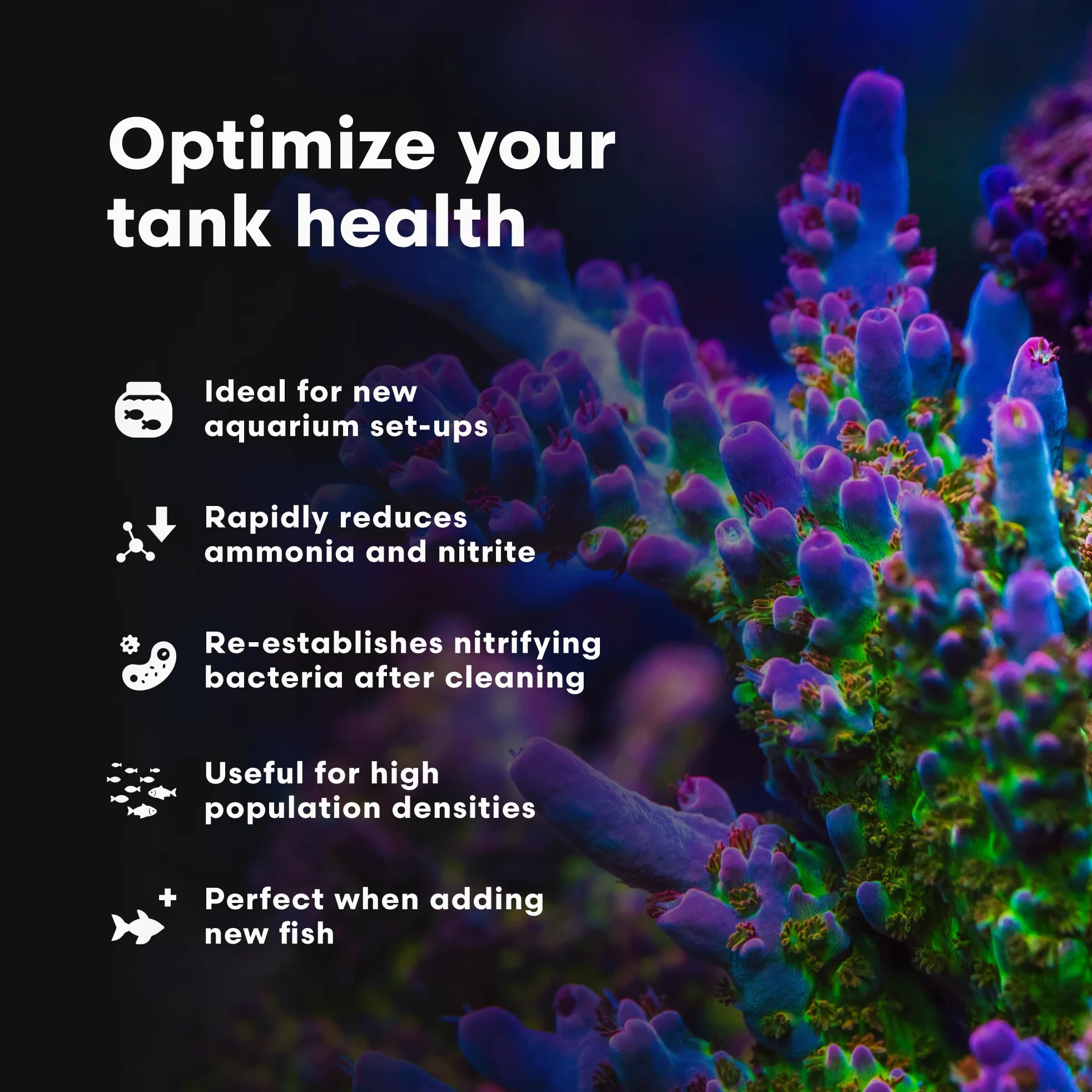 Brightwell Aquatics MicroBacter Start XLM – El arrancador de tanque de bacterias vivas establece rápidamente la filtración biológica en nuevos acuarios marinos y arrecifes