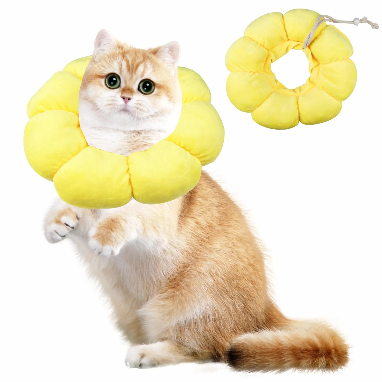 Newpop Collar Isabelino Gato, Collares Protector para Gatos, Collarin Gato de Girasol, Cono Suave del Cuello Mascotas, para Gatitos Perros Pequeños Cicatrización de Heridas Después de una Operación(M)