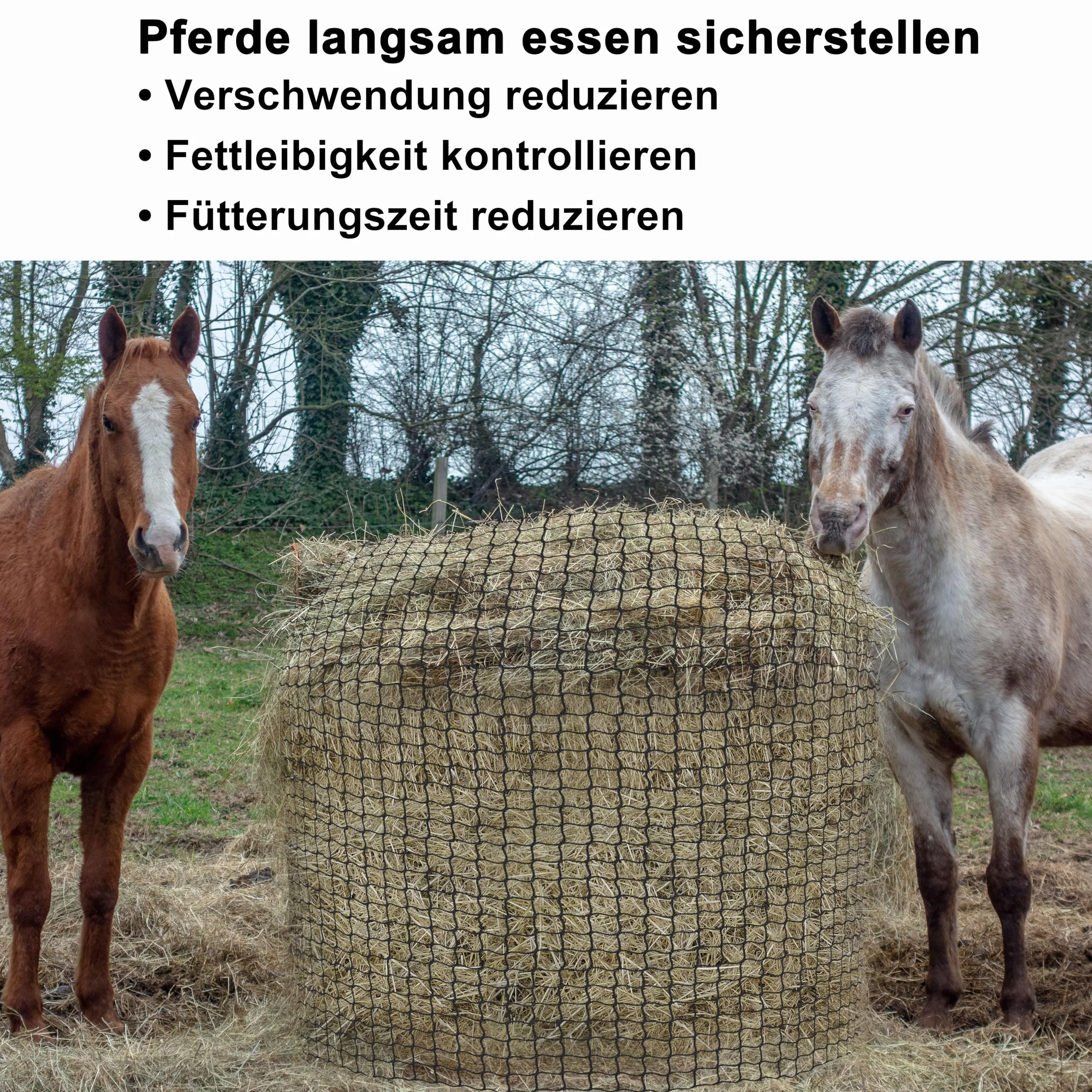 Red de heno redonda, resistente al desgaste, para caballos, pacas redondas, diámetro 150 cm, altura 150 cm, ancho de malla 4,5 x 4,5 cm para prolongar el tiempo de alimentación de caballos